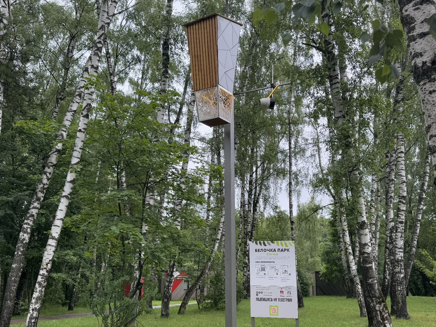 Белочка парк, Балашиха, парк Пехорка,