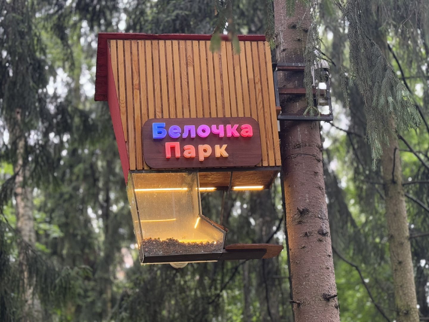 Белочка парк, Балашиха, парк Пехорка,