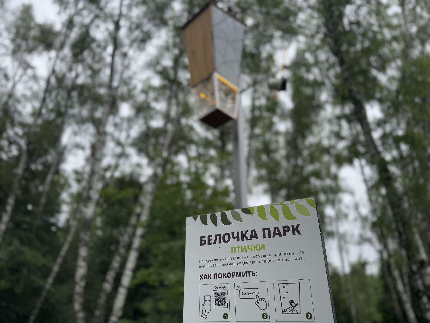 Белочка парк, Балашиха, парк Пехорка,