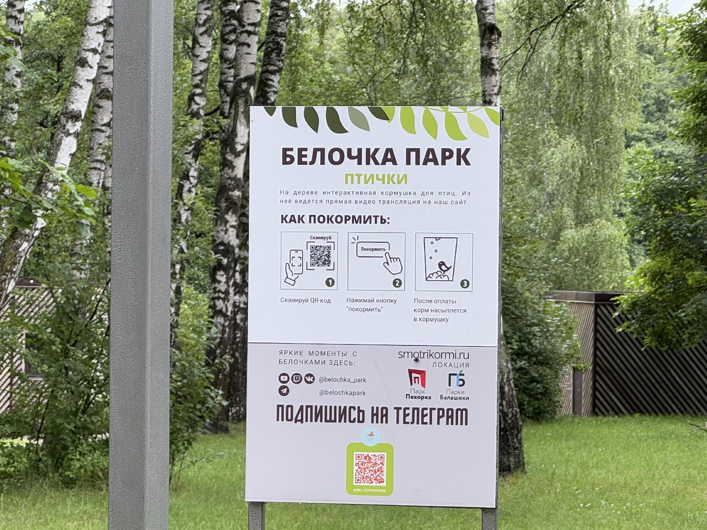 Белочка парк, Балашиха, парк Пехорка,