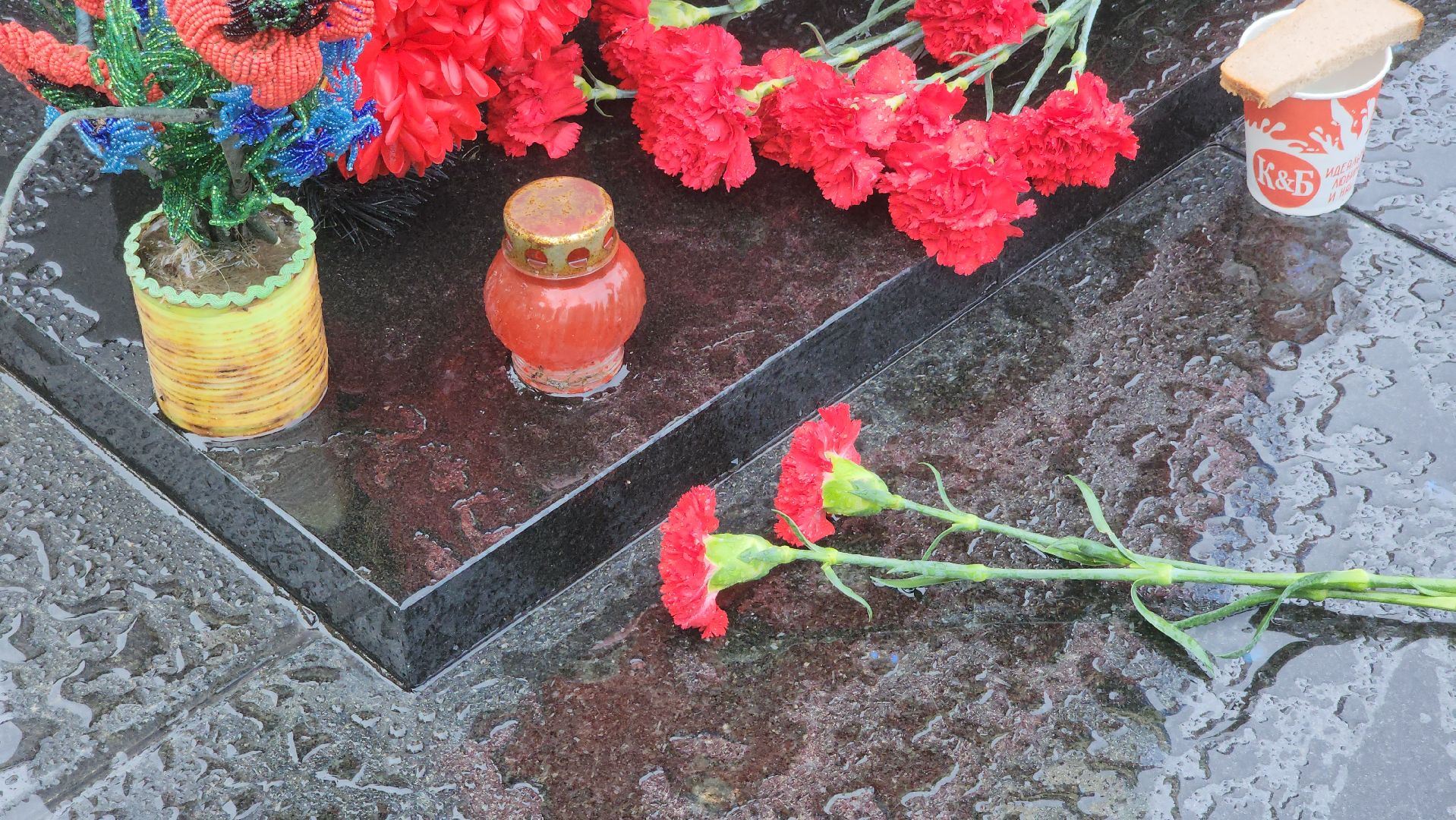 боевое братство, день ветеранов боевых действий, орехово-зуево,