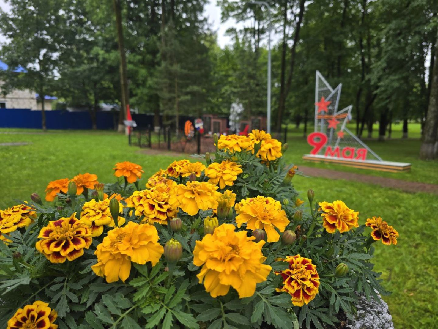 можайск, можайский муниципальный округ, подмосковье, парк, благоустройство, нацпроект, федеральная программа, Формирование комфортной городской среды, Инфраструктура для жизни,