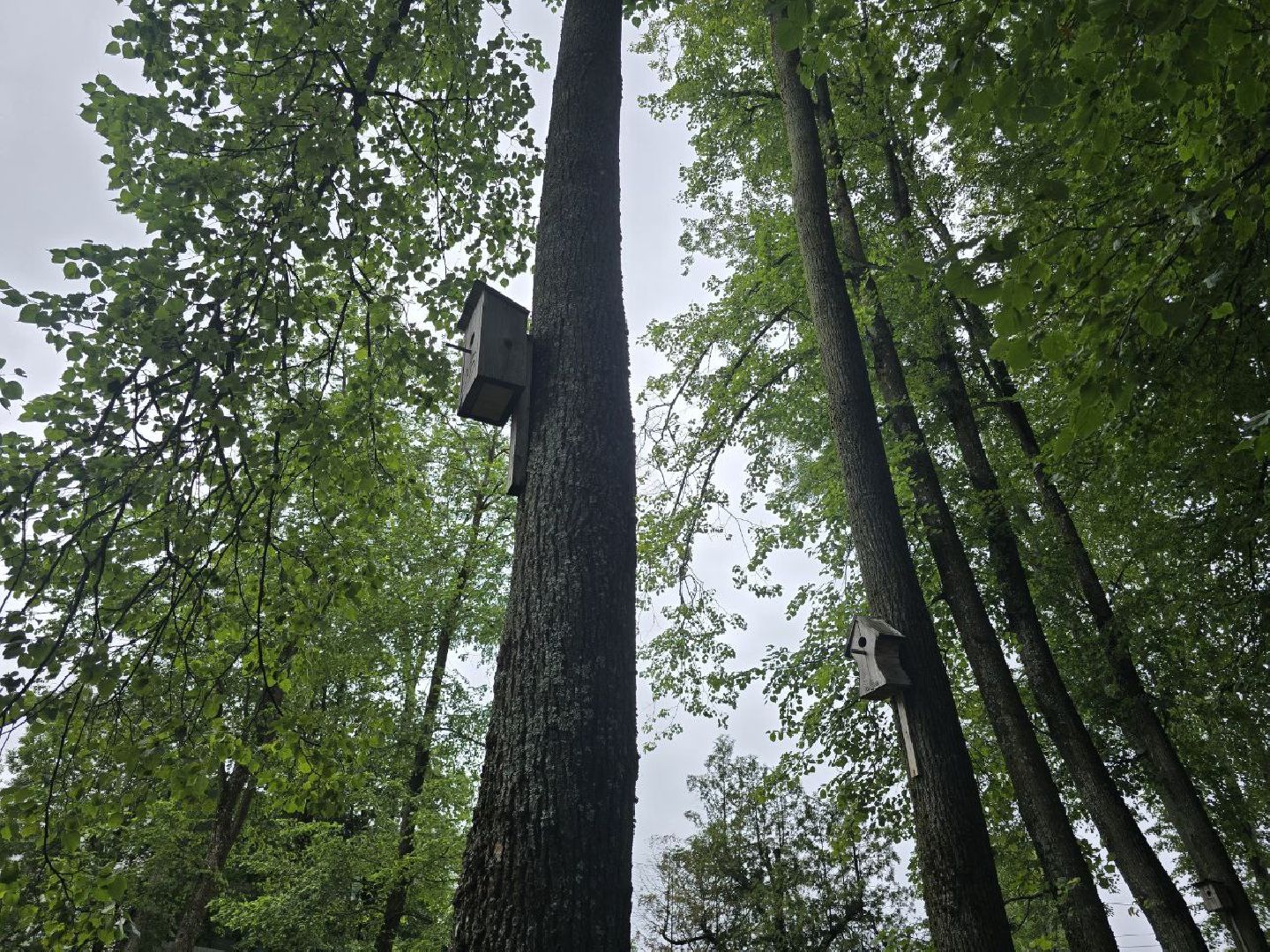 можайск, можайский муниципальный округ, подмосковье, парк, благоустройство, нацпроект, федеральная программа, Формирование комфортной городской среды, Инфраструктура для жизни,