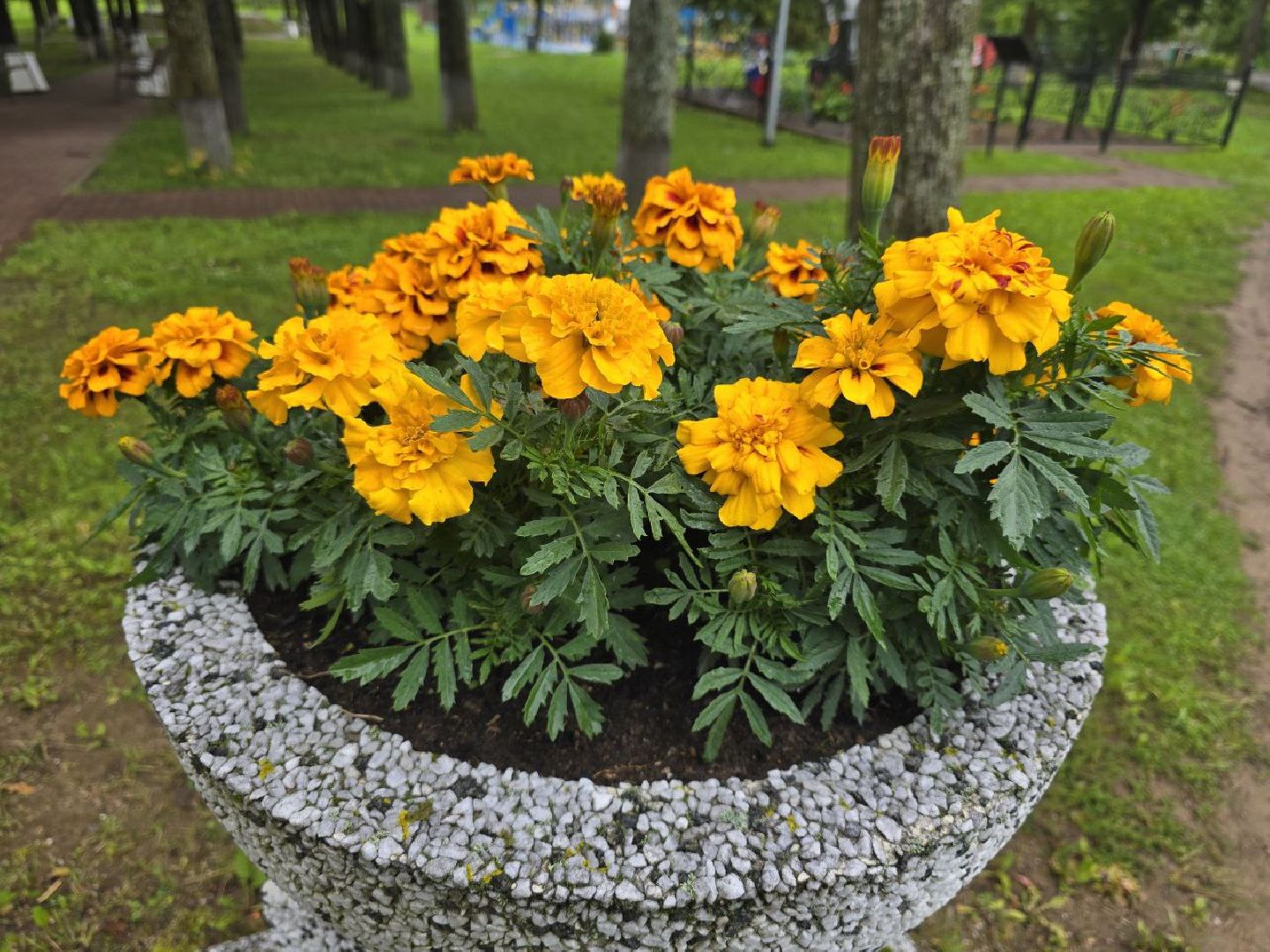 можайск, можайский муниципальный округ, подмосковье, парк, благоустройство, нацпроект, федеральная программа, Формирование комфортной городской среды, Инфраструктура для жизни,