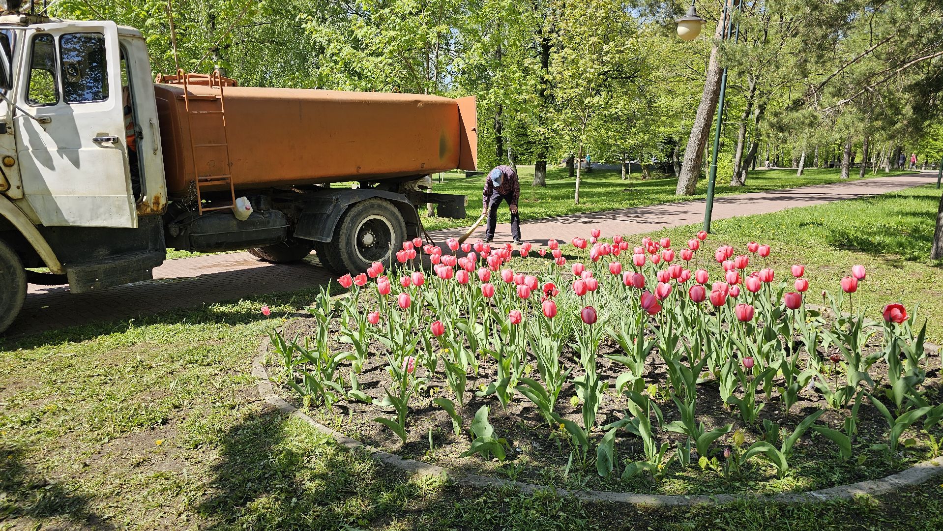благоустройство, цветы, клумбы, 9 Мая, Дзержинский