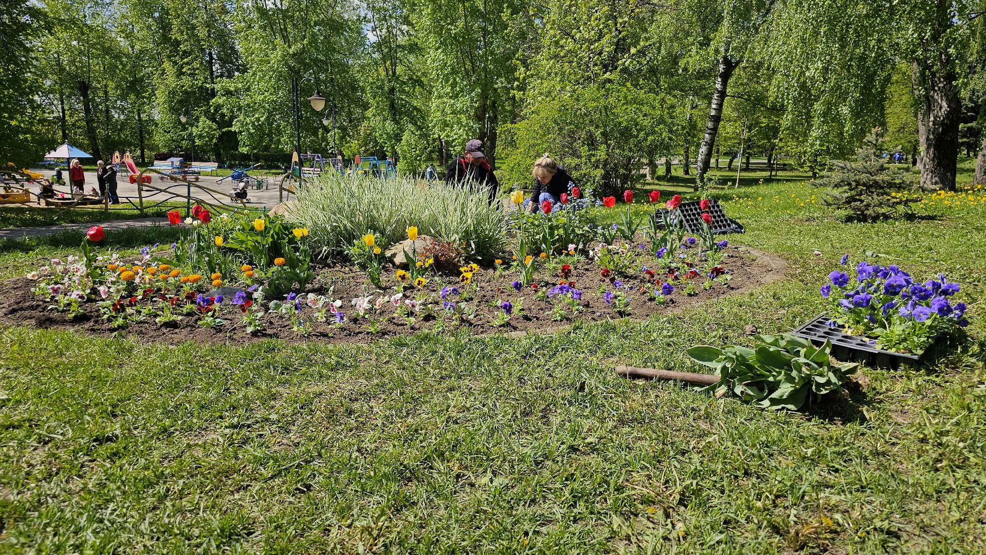 благоустройство, цветы, клумбы, 9 Мая, Дзержинский