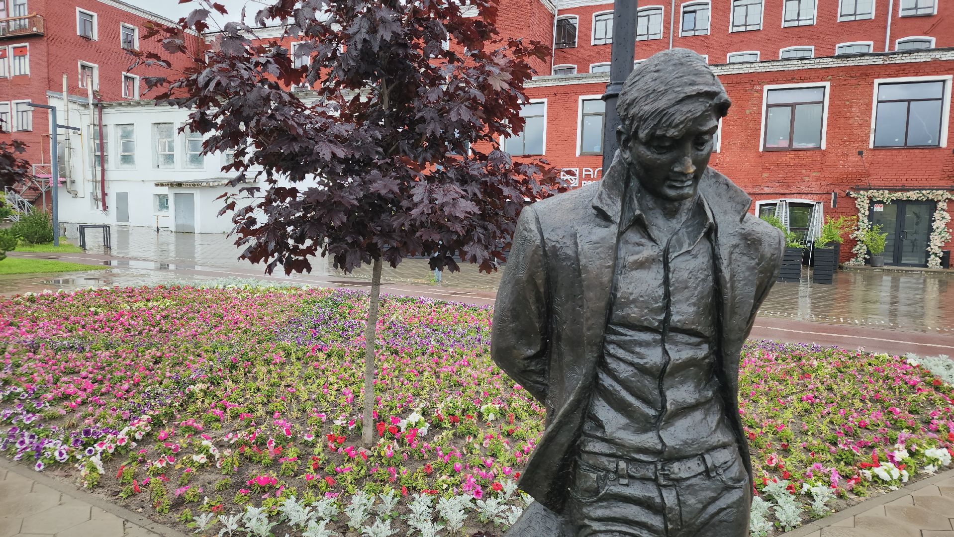 клумбы, цветы, орехово-зуевский округ, благоустройство 2025,