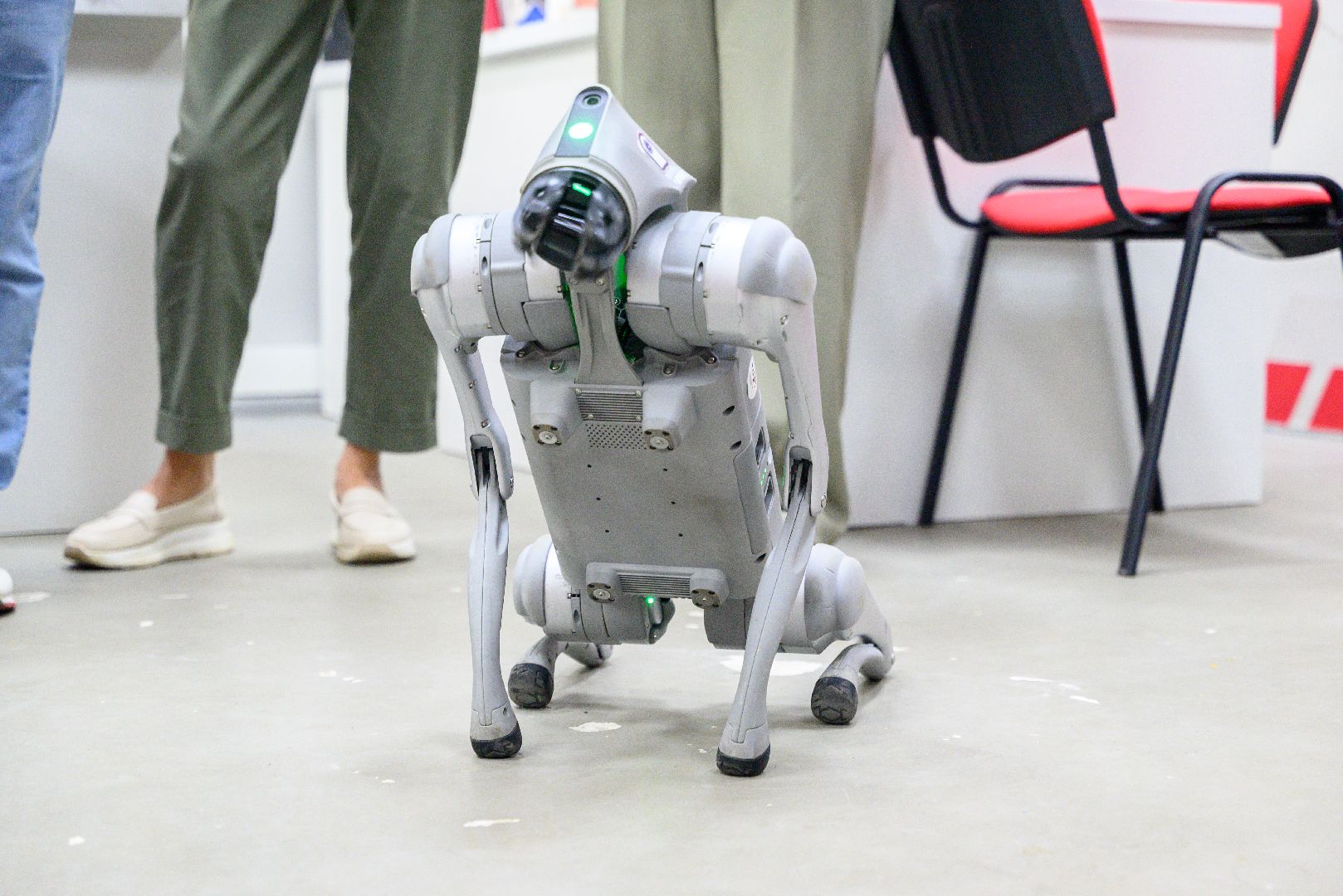 лыткарино, общество, робот, робот-пес, компьютерная академия,