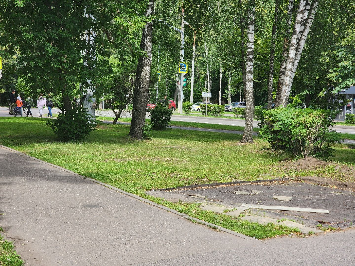 королёв, незаконное строение, благоустройство , губернатор московской области,
