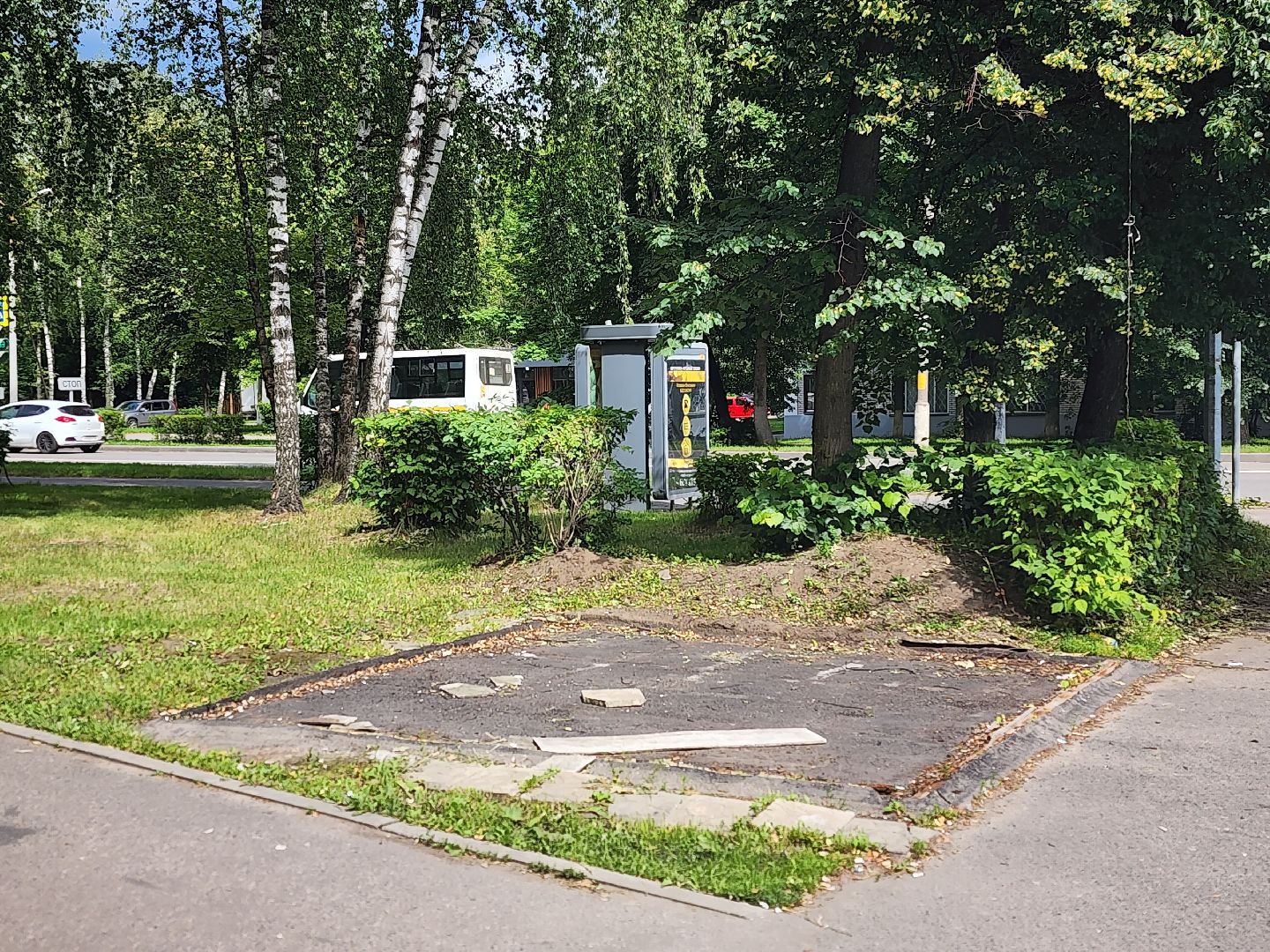 королёв, незаконное строение, благоустройство , губернатор московской области,