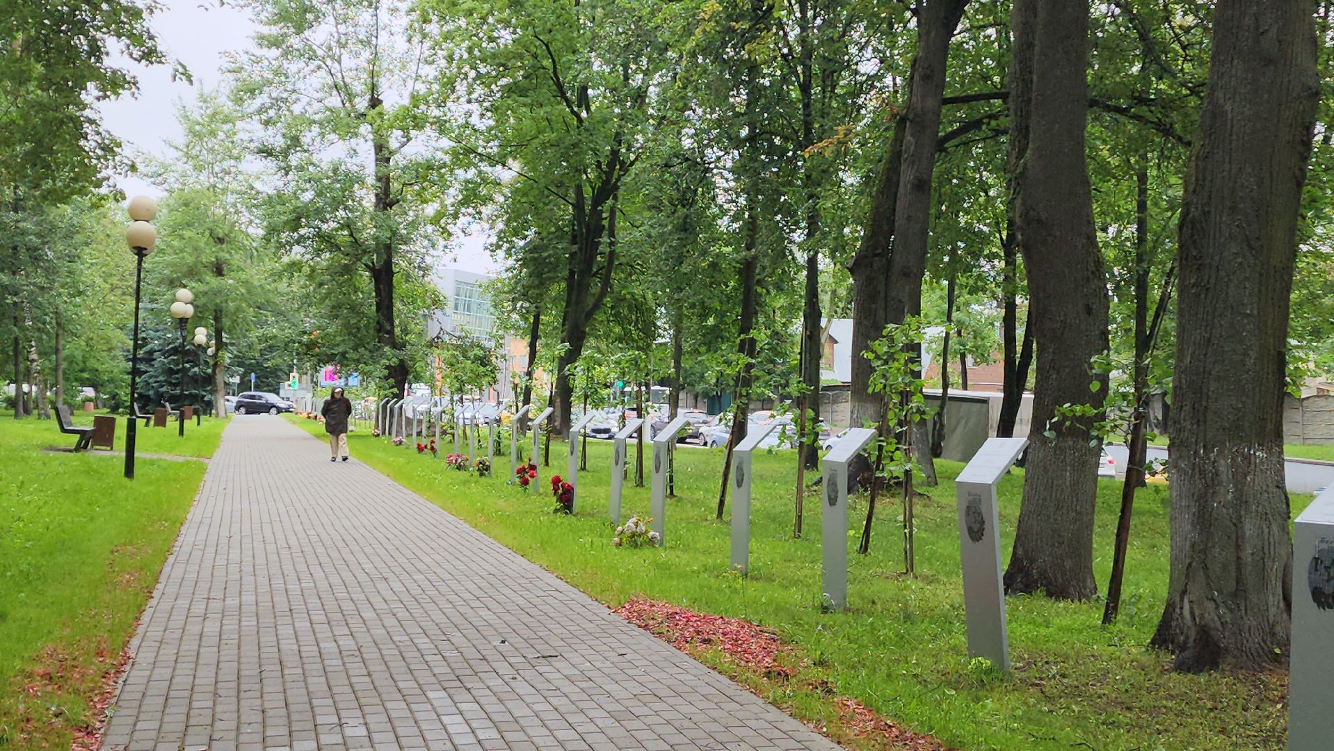 красногорск, день ветеранов боевых действий, митинг,
