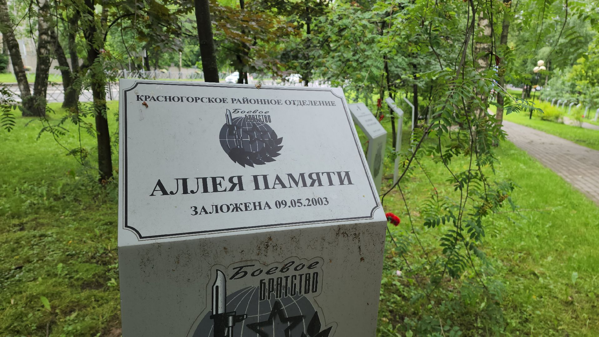 красногорск, день ветеранов боевых действий, митинг,