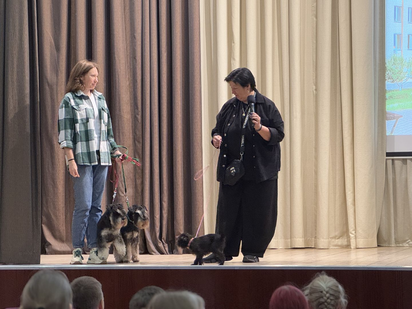 международный день собак, Балашиха, Университет Вернадского Балашиха, кинологический центр Балашиха,