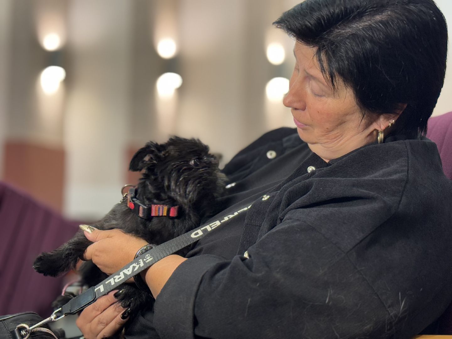 международный день собак, Балашиха, Университет Вернадского Балашиха, кинологический центр Балашиха,