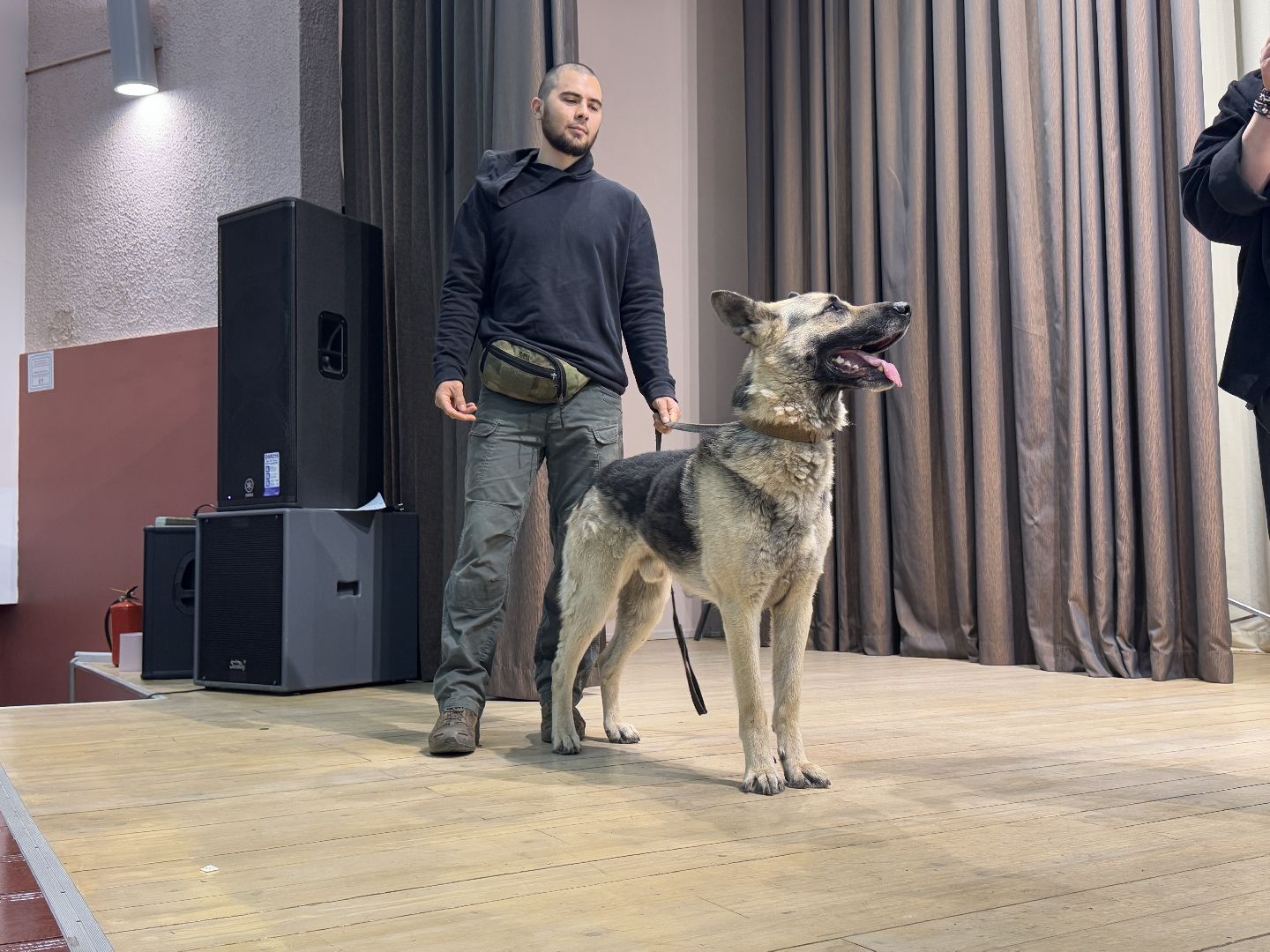 международный день собак, Балашиха, Университет Вернадского Балашиха, кинологический центр Балашиха,
