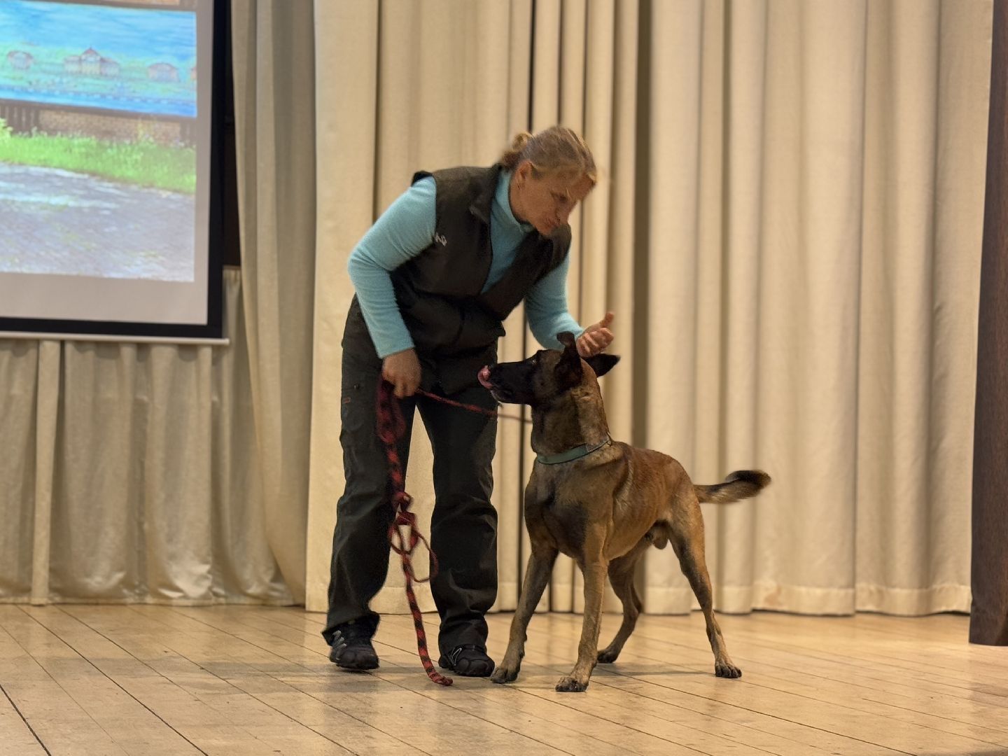 международный день собак, Балашиха, Университет Вернадского Балашиха, кинологический центр Балашиха,