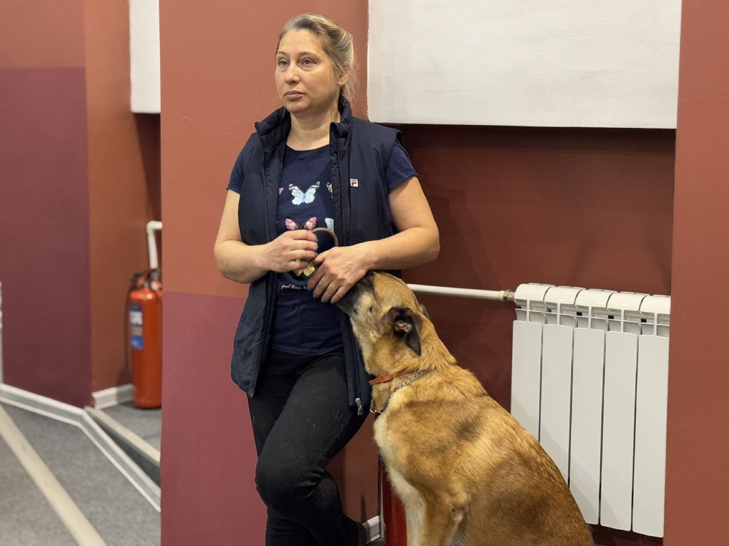 международный день собак, Балашиха, Университет Вернадского Балашиха, кинологический центр Балашиха,