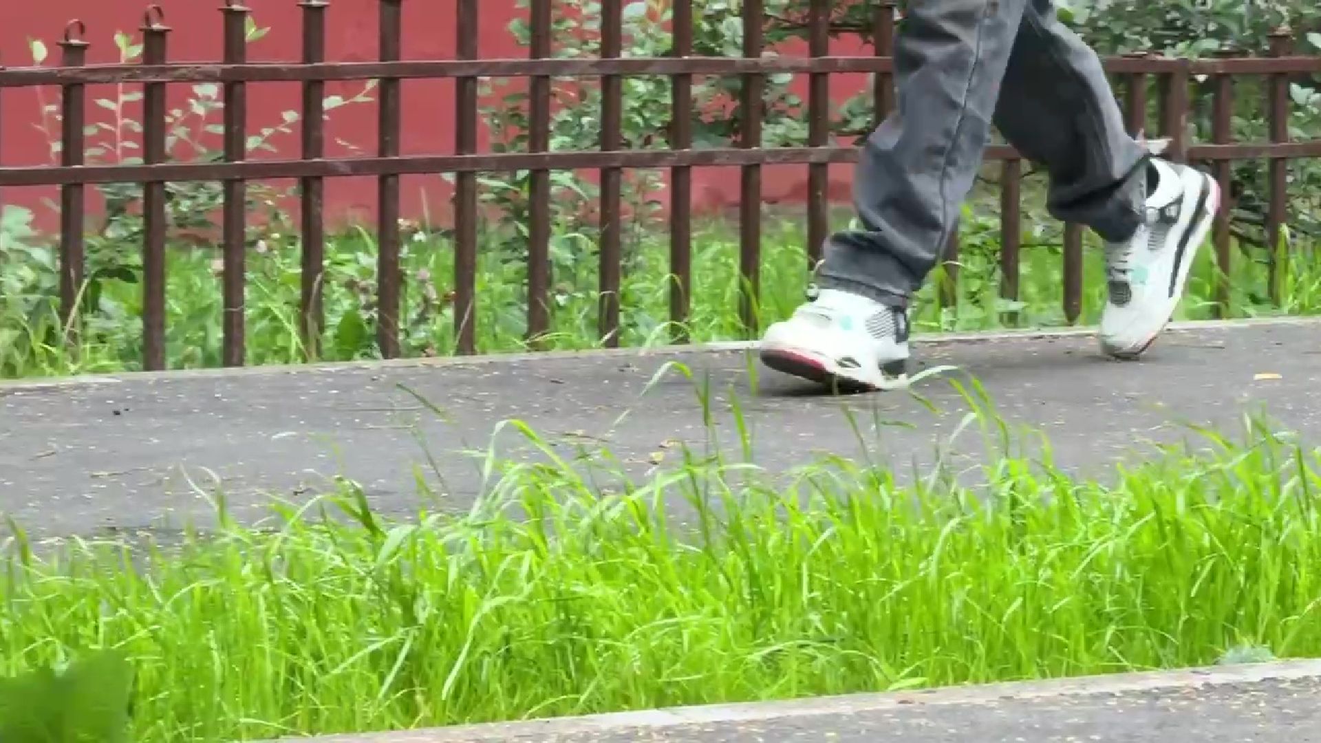 Реутов, благоустройство, народные тропы, пешком,