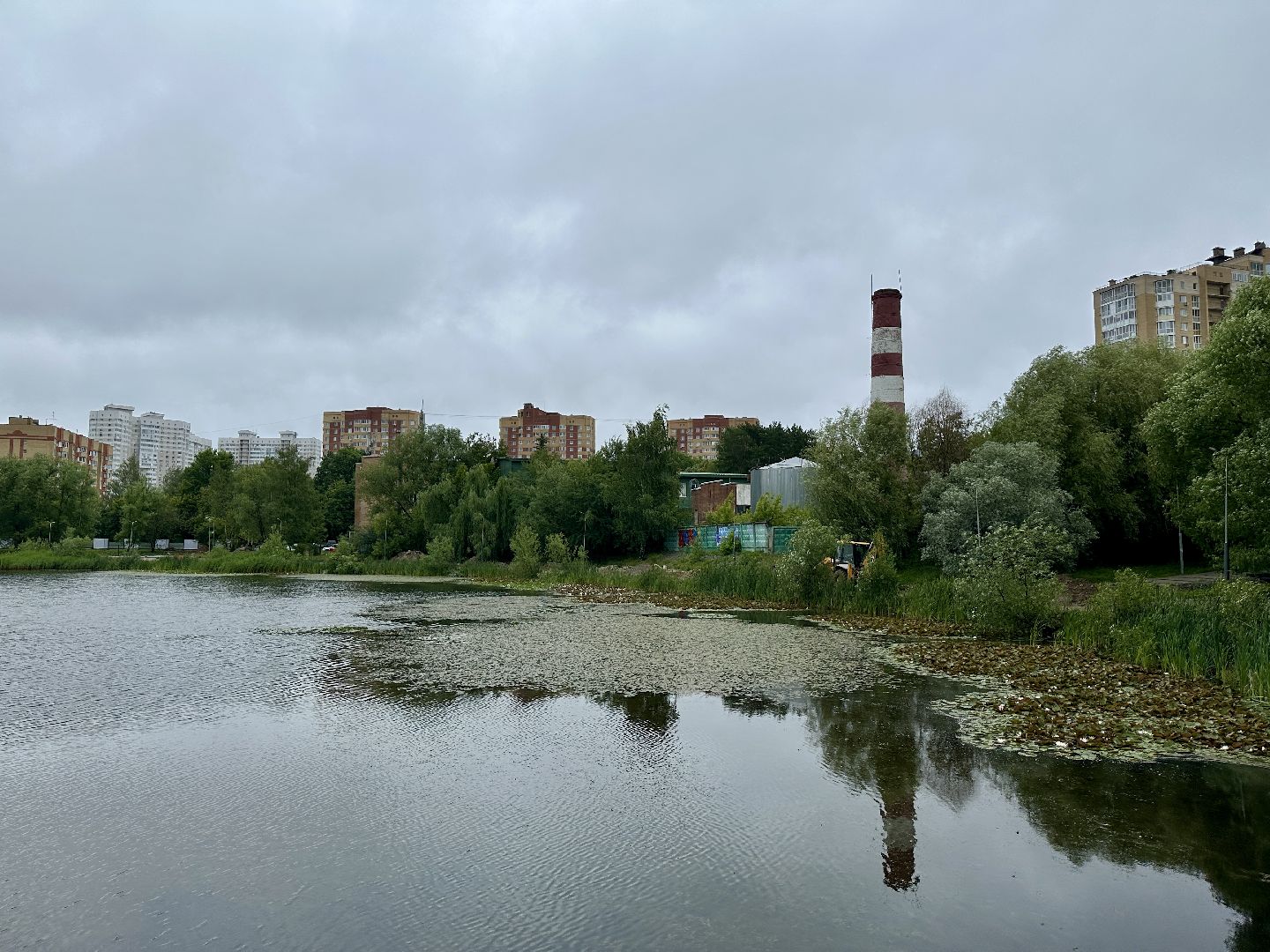 пушкино, благоустройство, озеро Травинское,