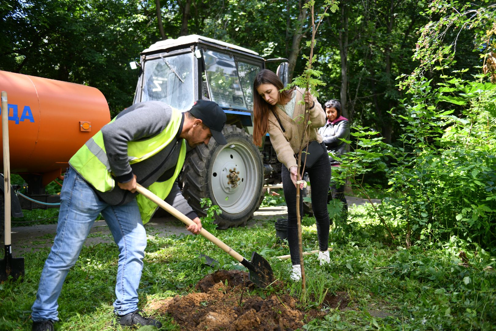 благоустройство, высадка деревьев, лыткарино, жкх,