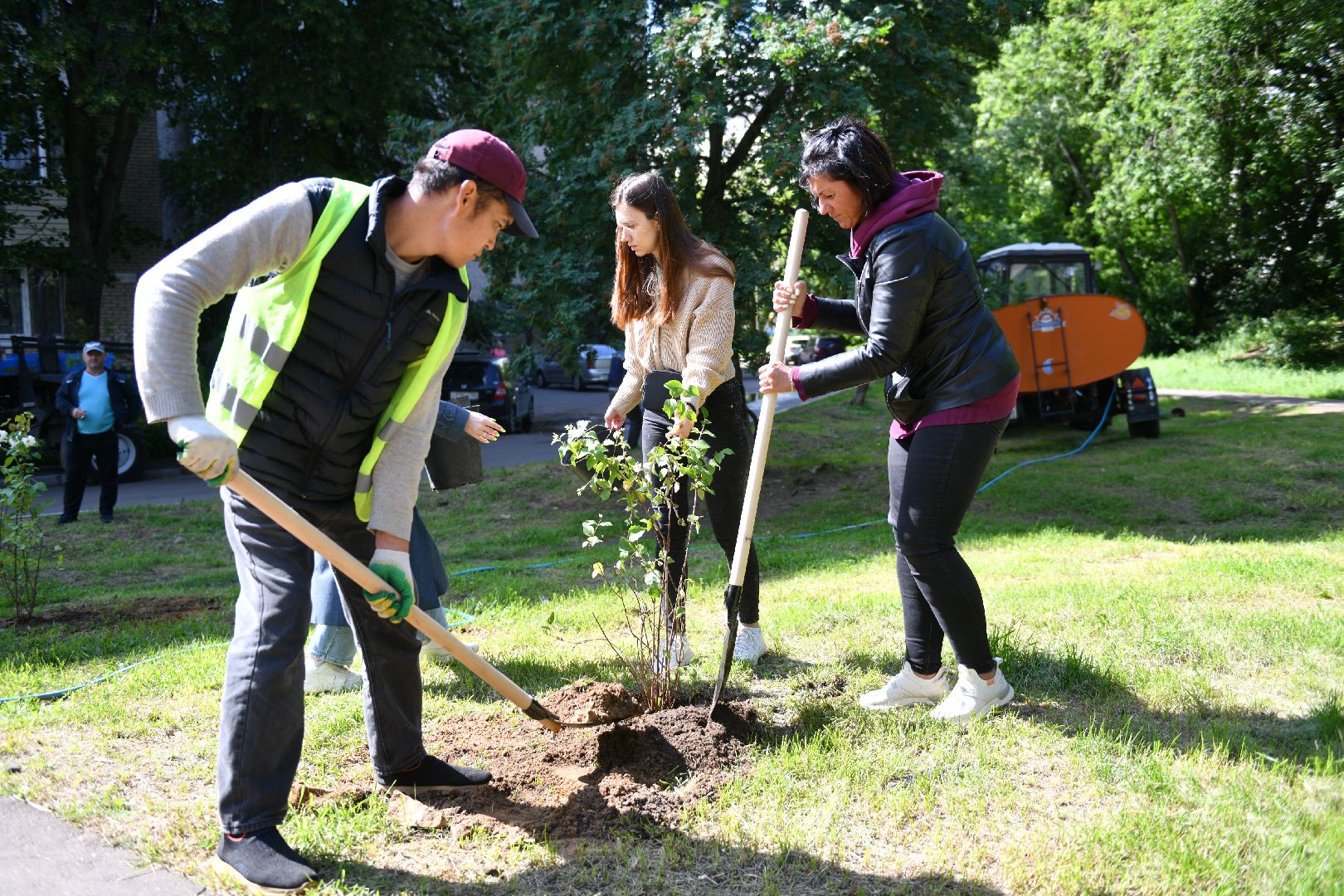благоустройство, высадка деревьев, лыткарино, жкх,