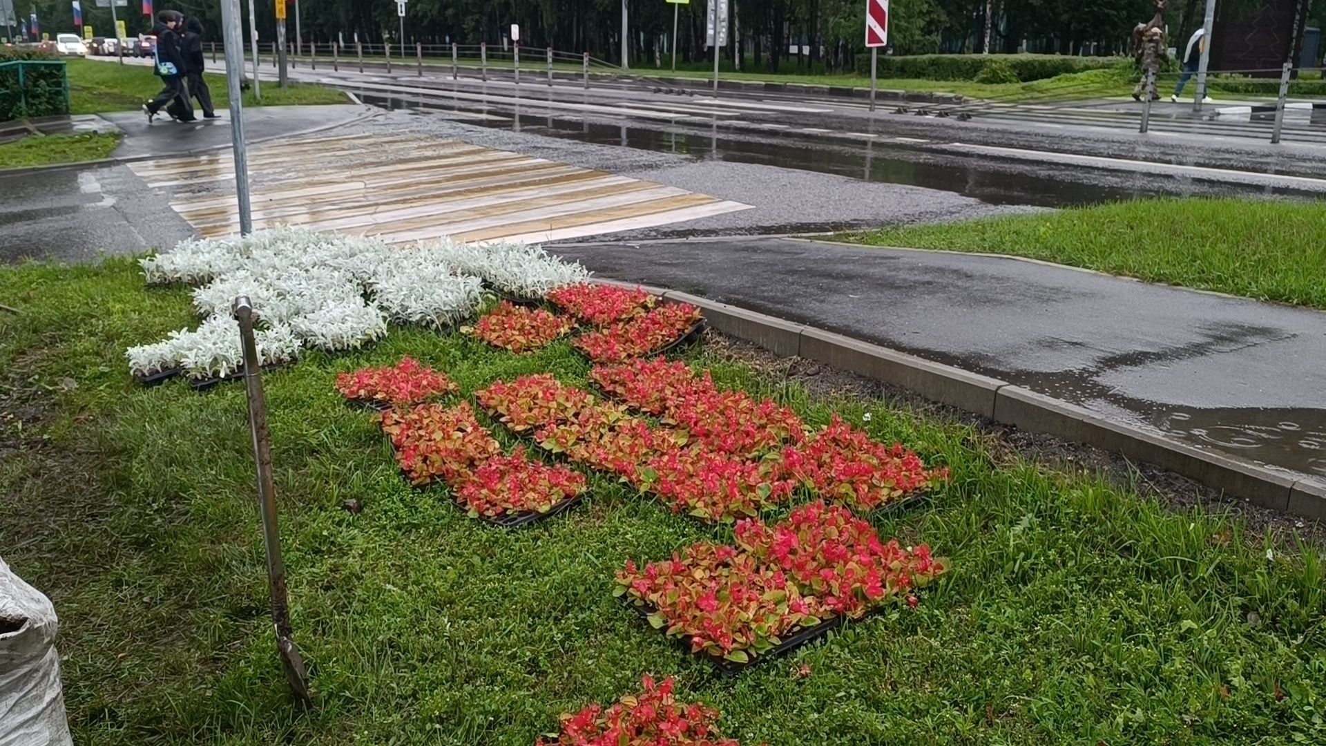 цветы, озеленение, лобня,