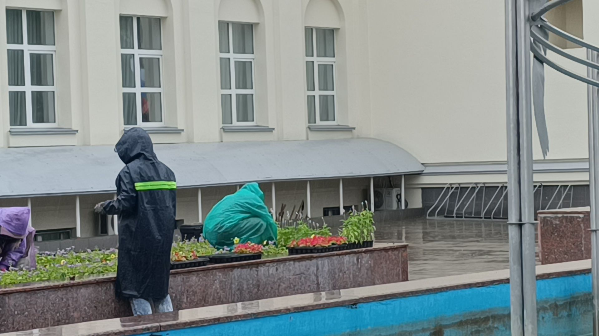 цветы, озеленение, лобня,