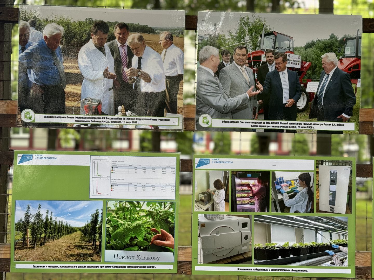 фотовыставка, ленинский городской округ, сквер юность, центр садоводства и питомниководства ,