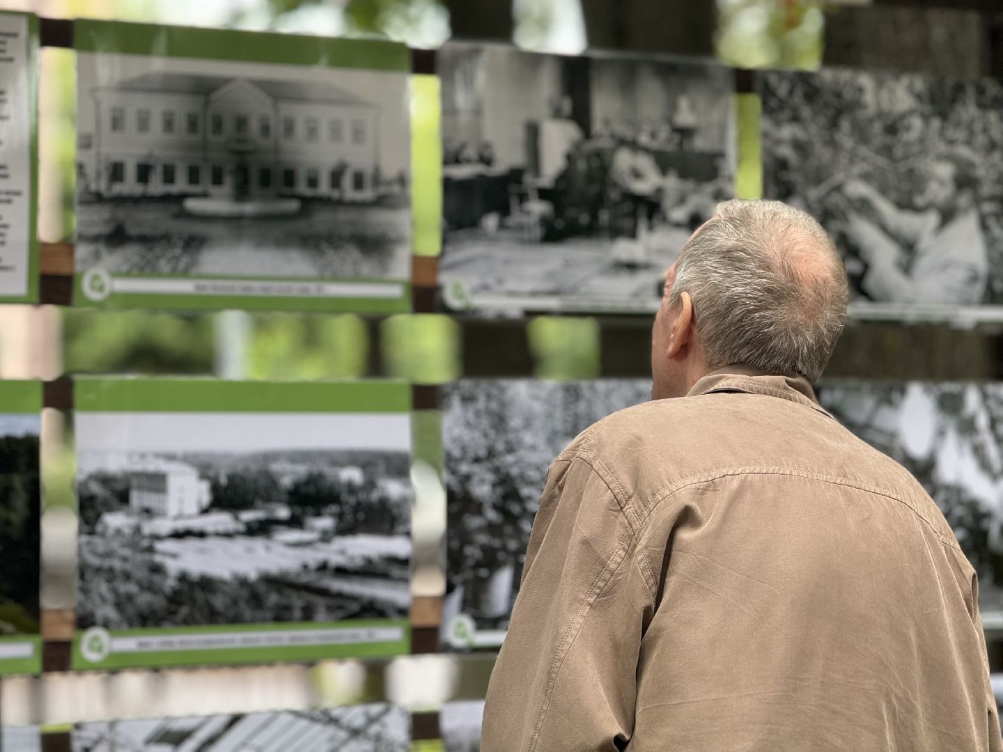 фотовыставка, ленинский городской округ, сквер юность, центр садоводства и питомниководства ,