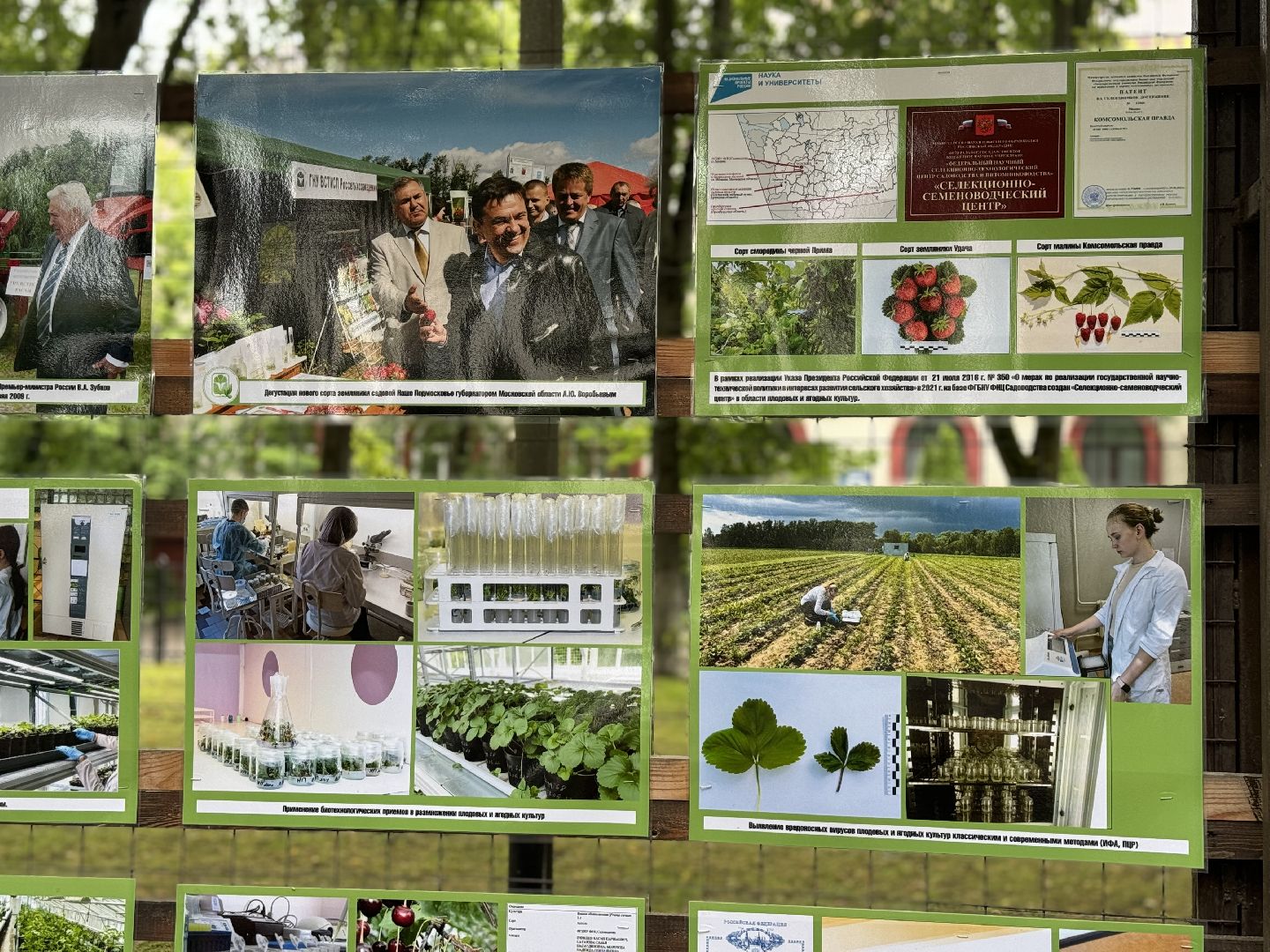 фотовыставка, ленинский городской округ, сквер юность, центр садоводства и питомниководства ,