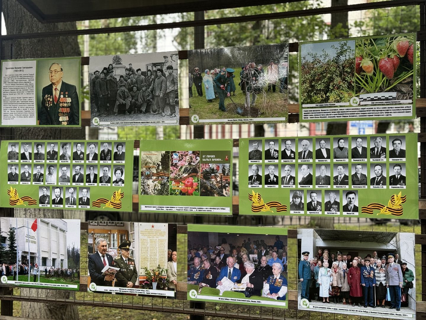 фотовыставка, ленинский городской округ, сквер юность, центр садоводства и питомниководства ,