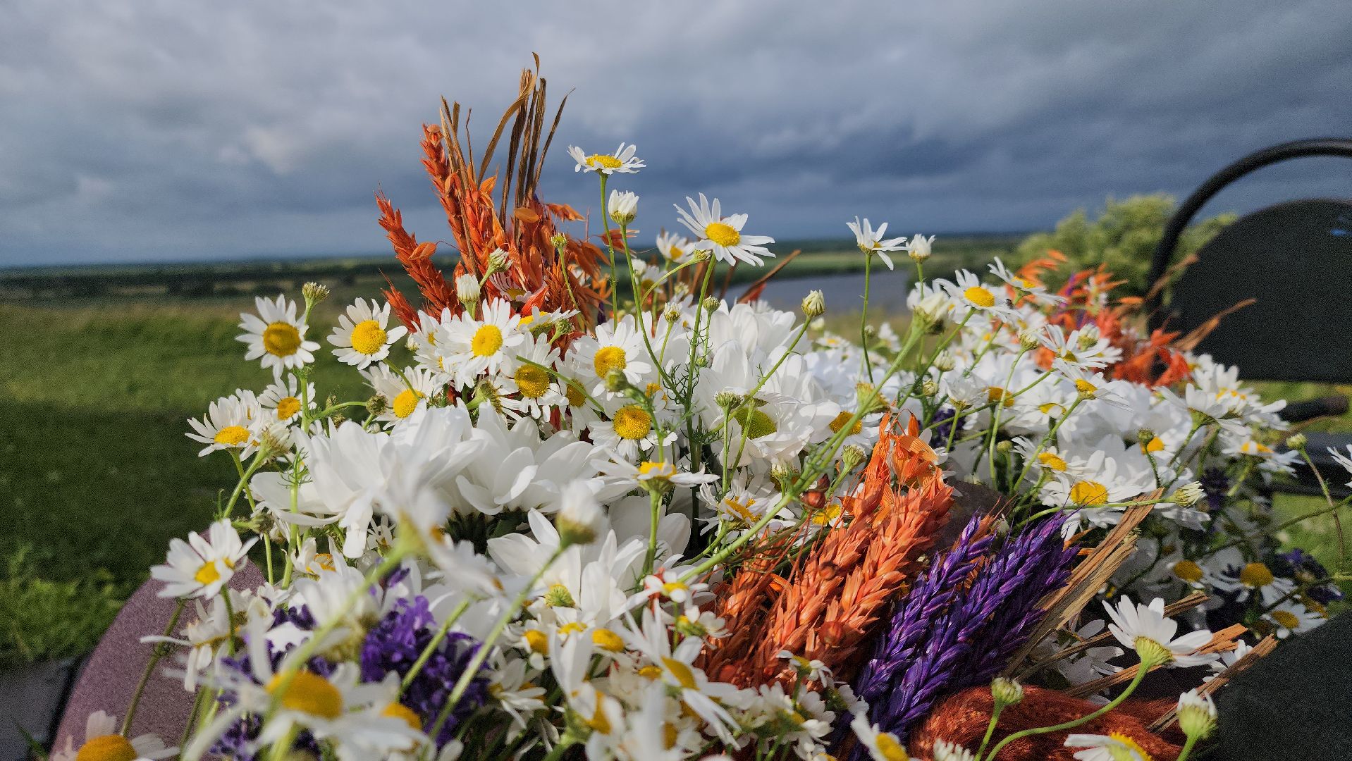 луховицы, день семьи любви и верности, фруктовая, бастанова гора,