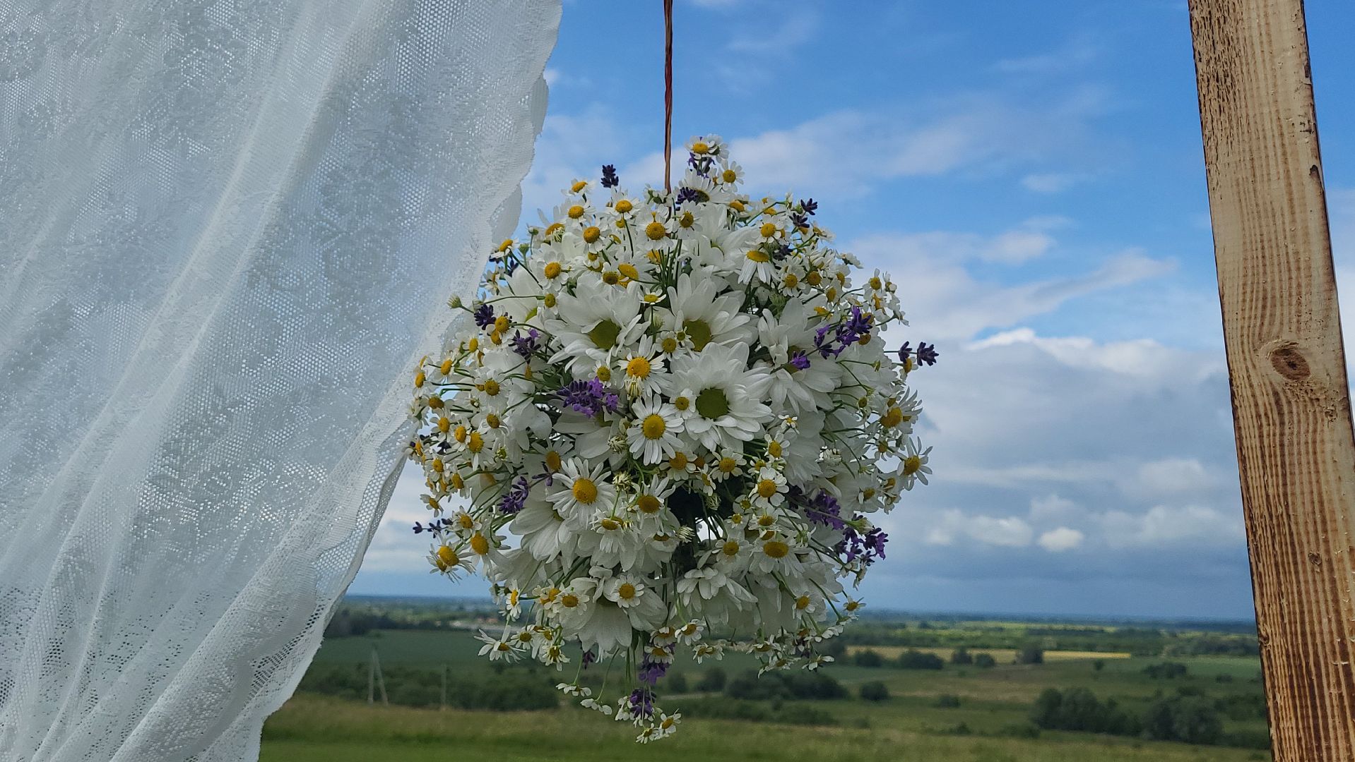 луховицы, день семьи любви и верности, фруктовая, бастанова гора,