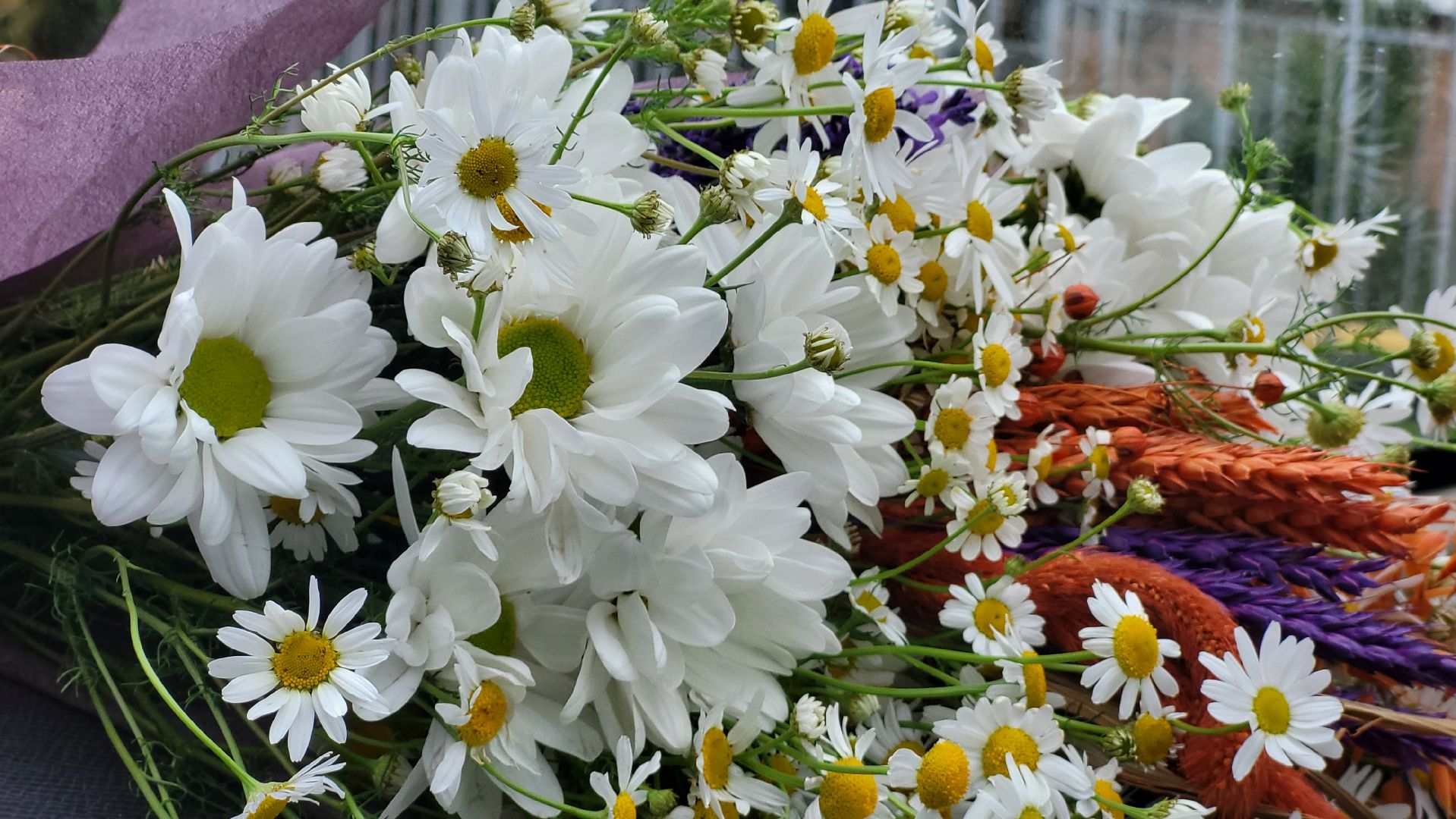 луховицы, день семьи любви и верности, фруктовая, бастанова гора,