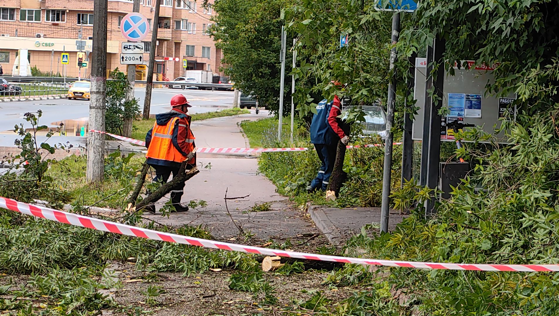 опил деревьев, кран, бригада, дорога, безопасность,