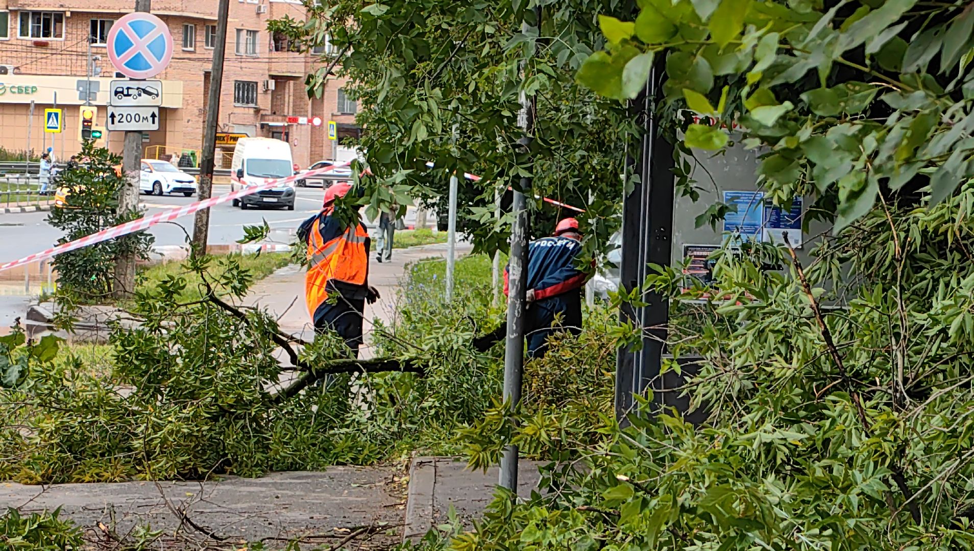 опил деревьев, кран, бригада, дорога, безопасность,