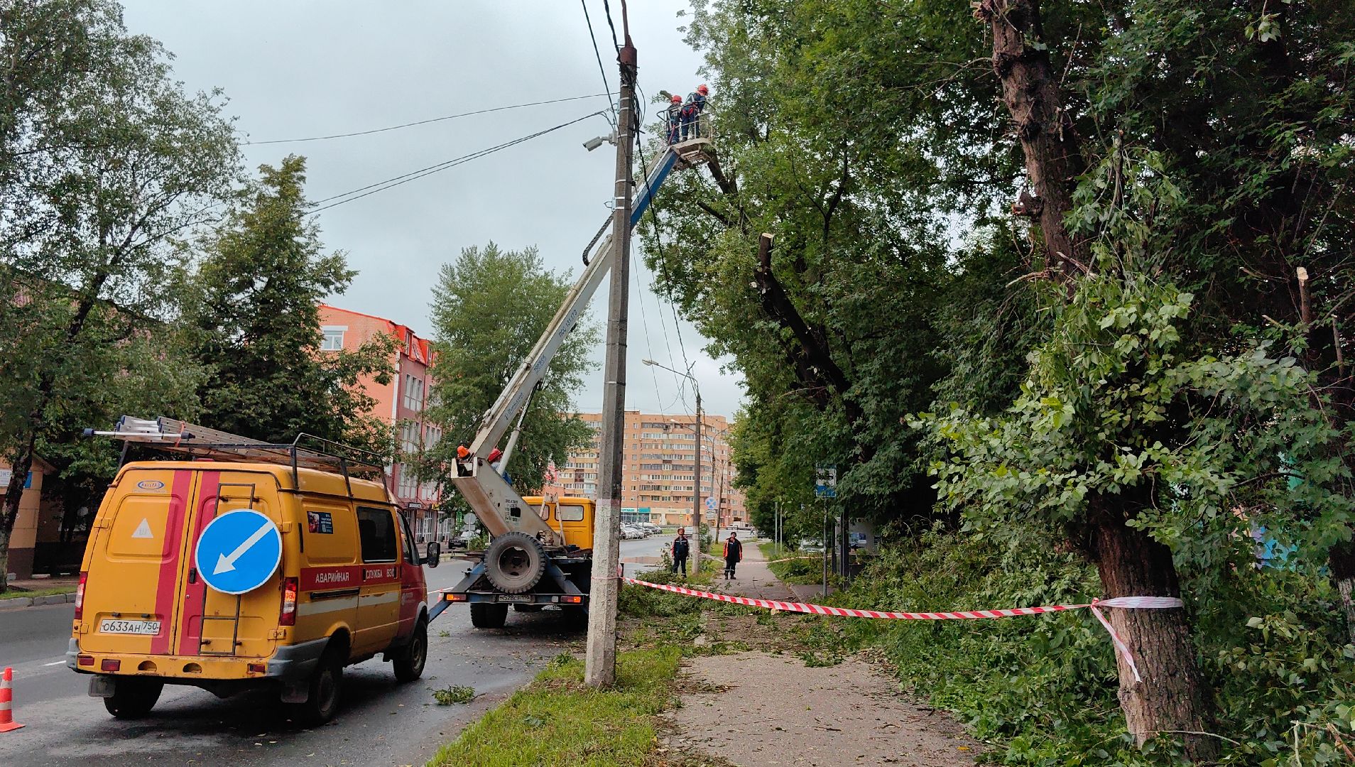 опил деревьев, кран, бригада, дорога, безопасность,