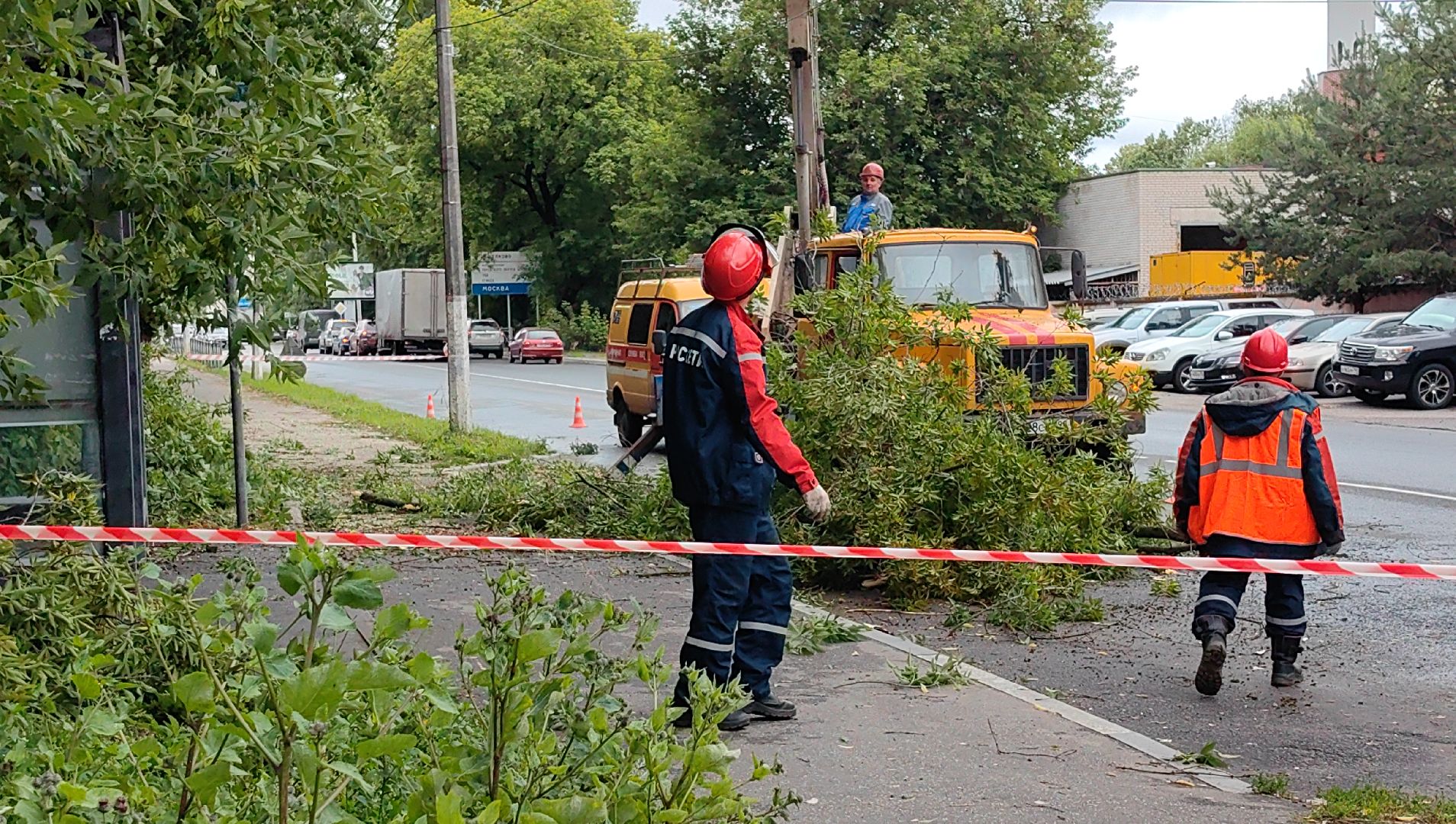 опил деревьев, кран, бригада, дорога, безопасность,