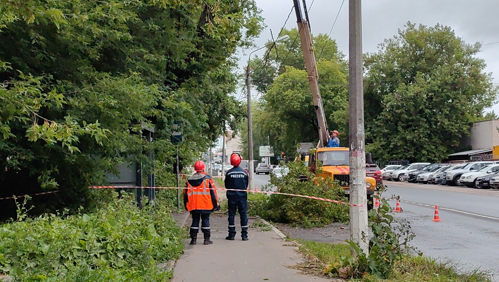 опил деревьев, кран, бригада, дорога, безопасность,