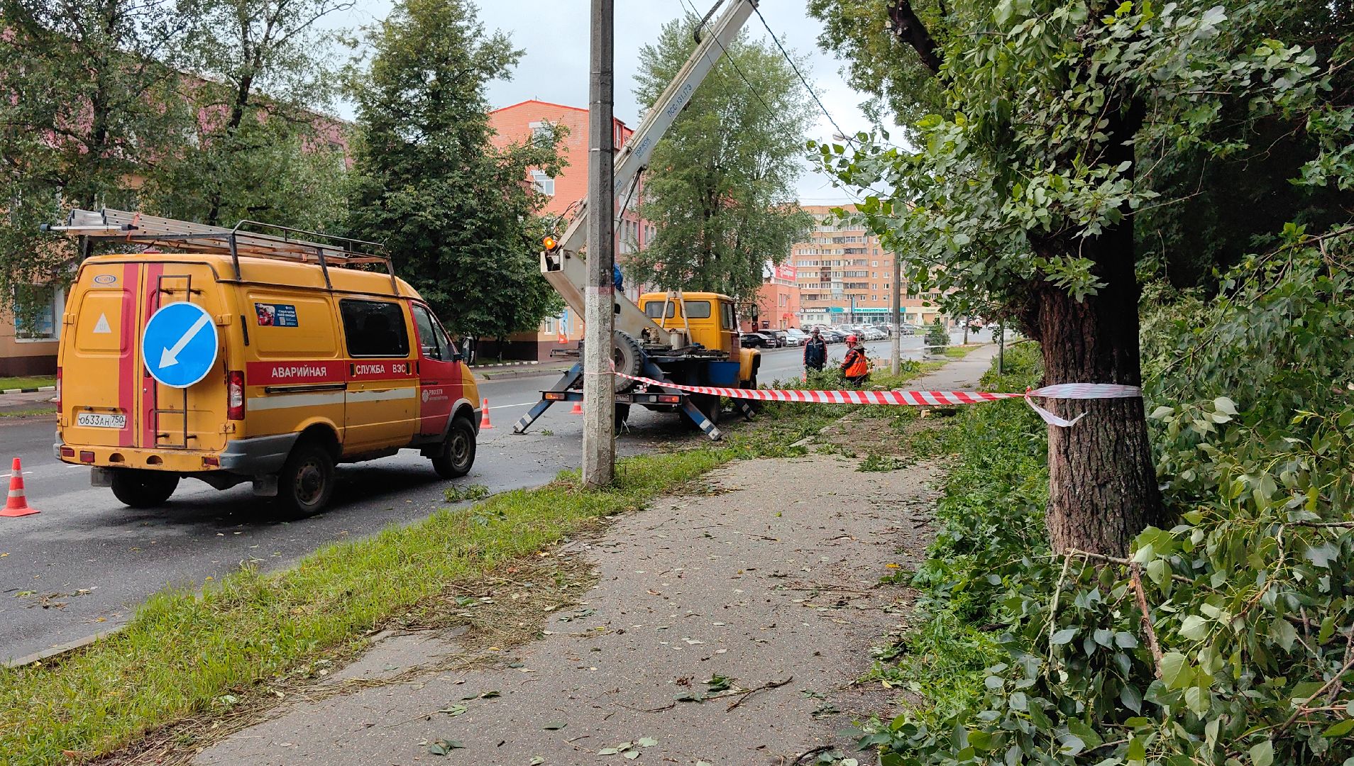 опил деревьев, кран, бригада, дорога, безопасность,