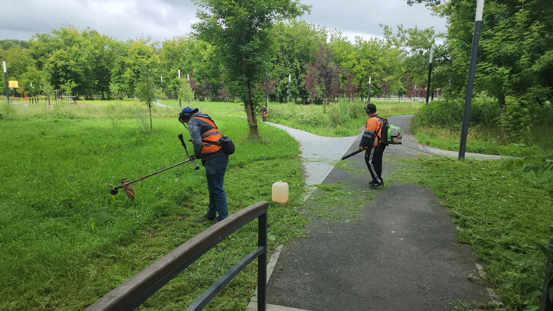серпухов, подмосковье, уборка парка,