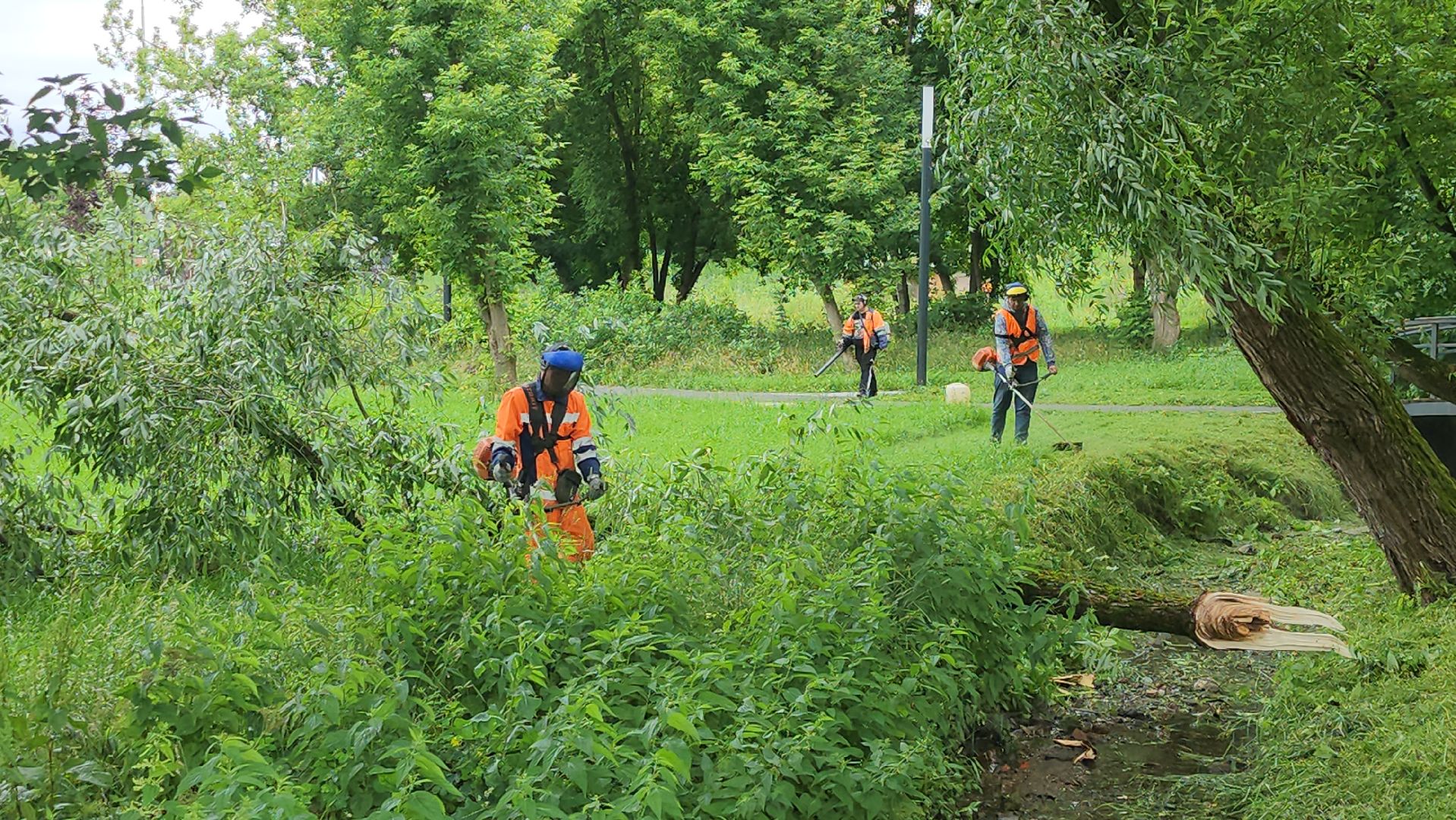 серпухов, подмосковье, уборка парка,