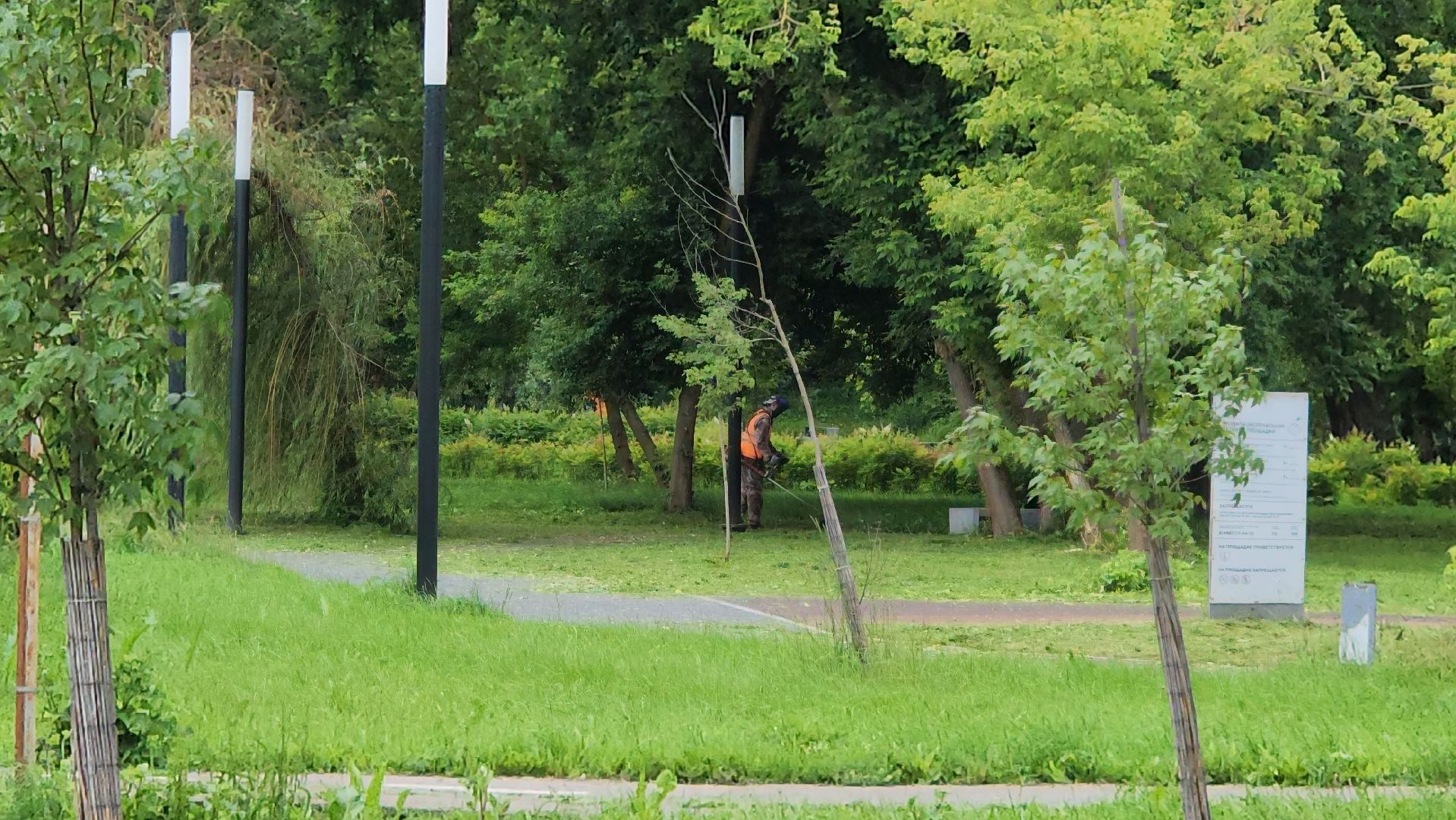 серпухов, подмосковье, уборка парка,