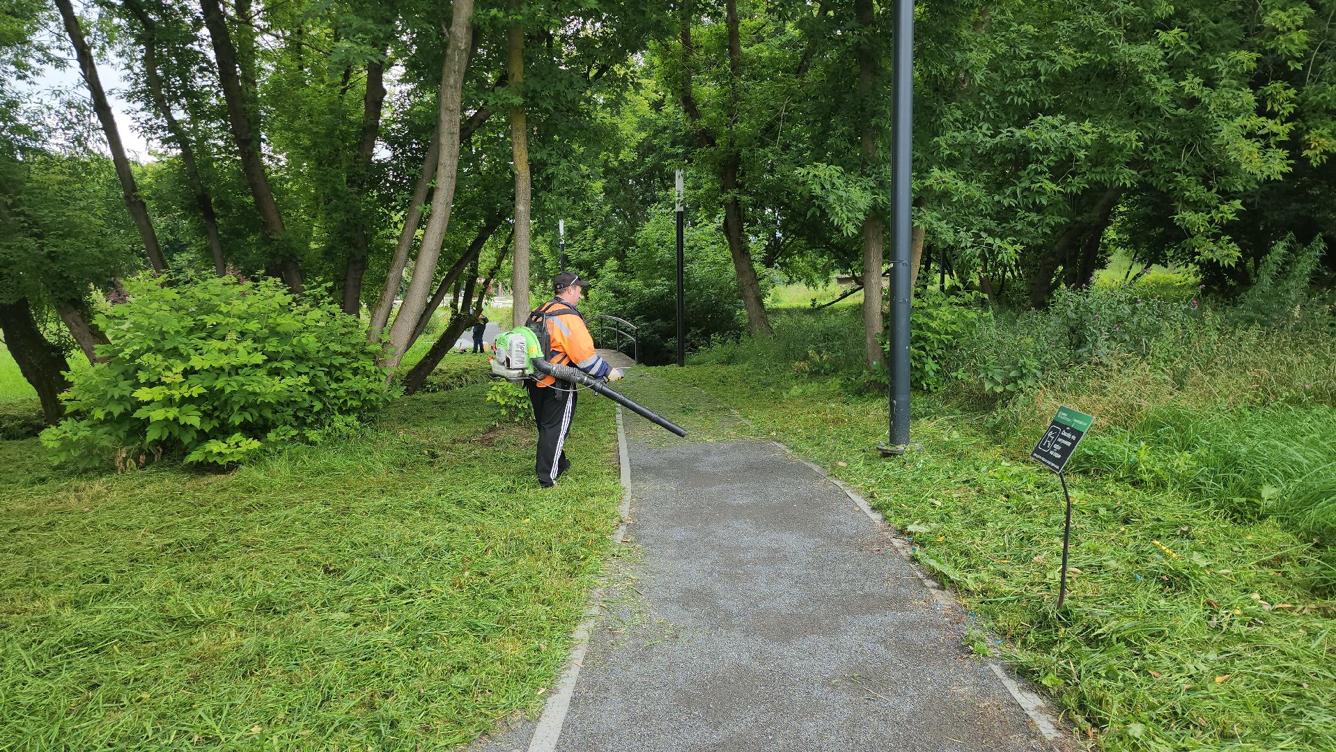 серпухов, подмосковье, уборка парка,