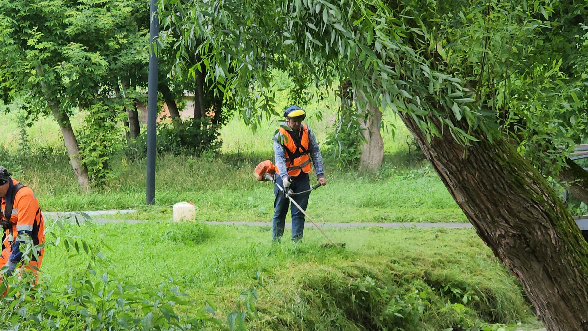 серпухов, подмосковье, уборка парка,