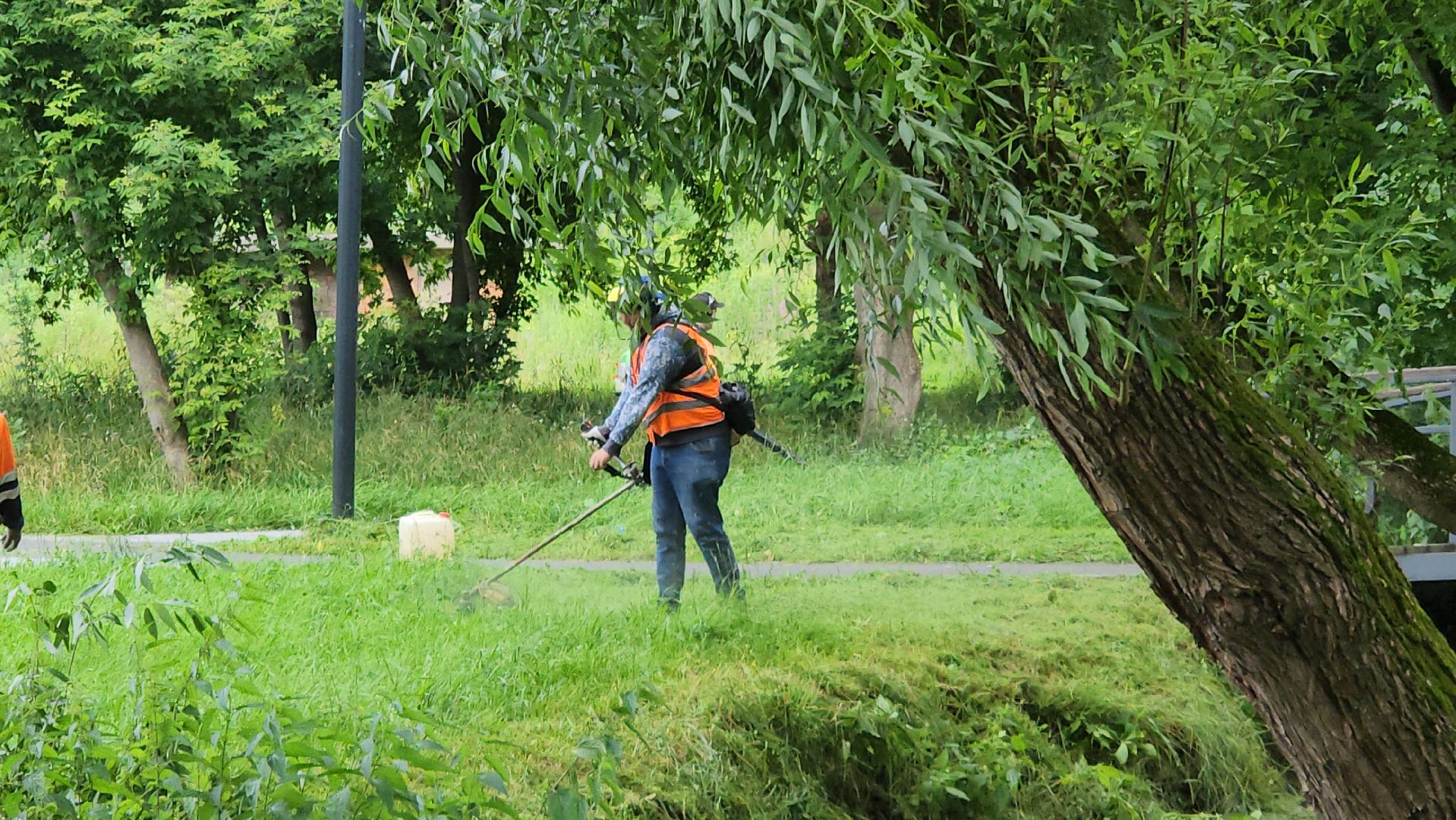 серпухов, подмосковье, уборка парка,