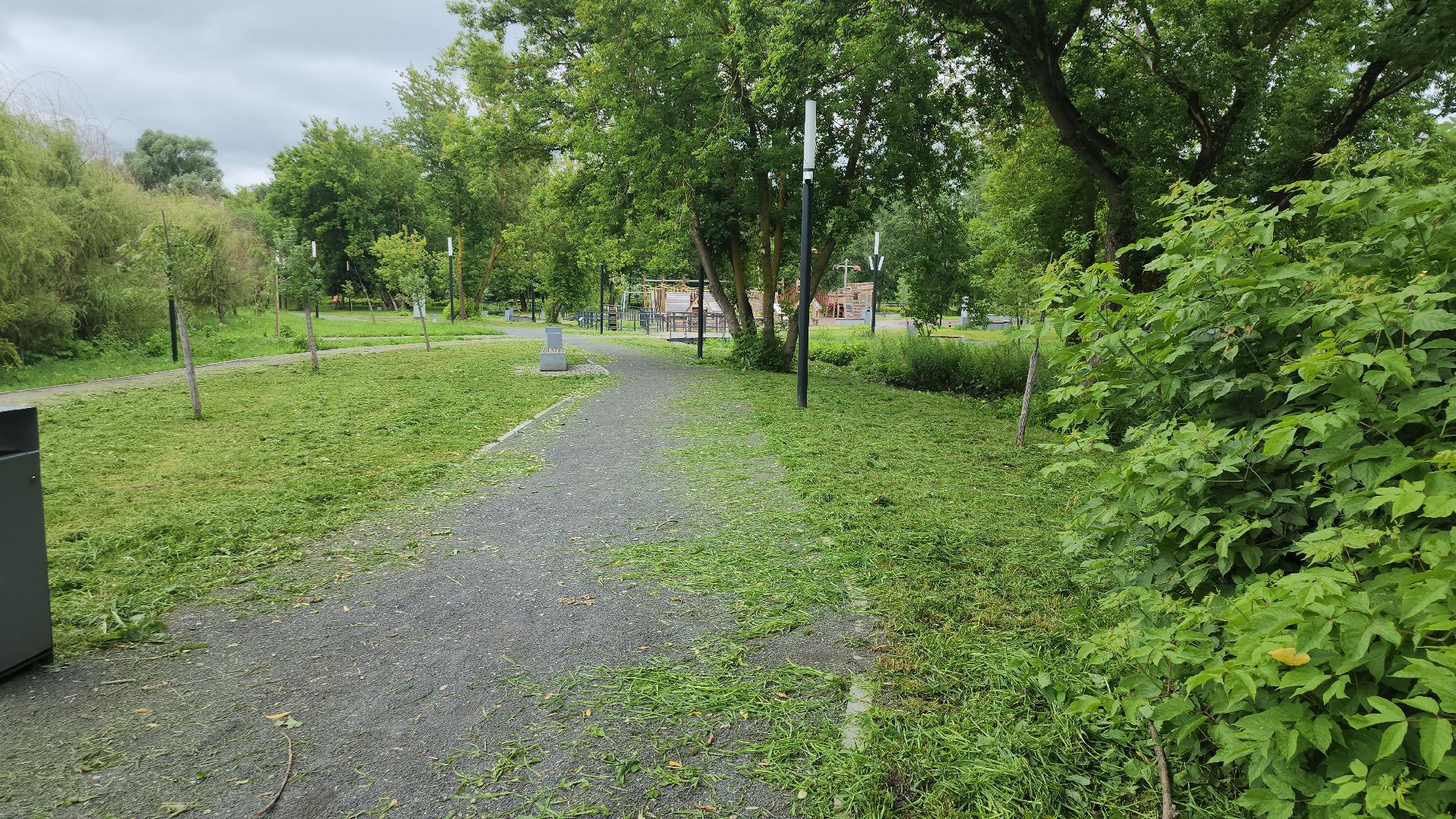 серпухов, подмосковье, уборка парка,