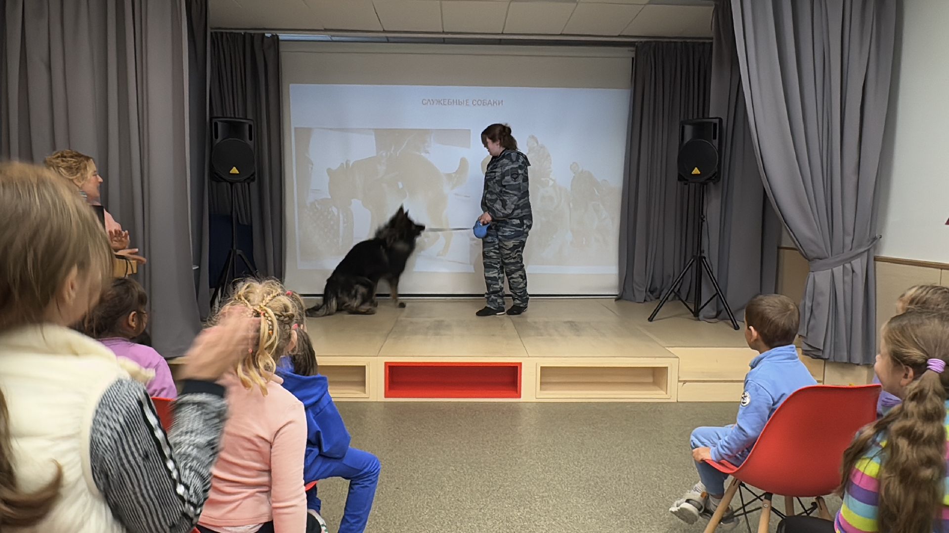 Международный день собак, Одинцовская библиотека 1, Кинологи Одинцова,