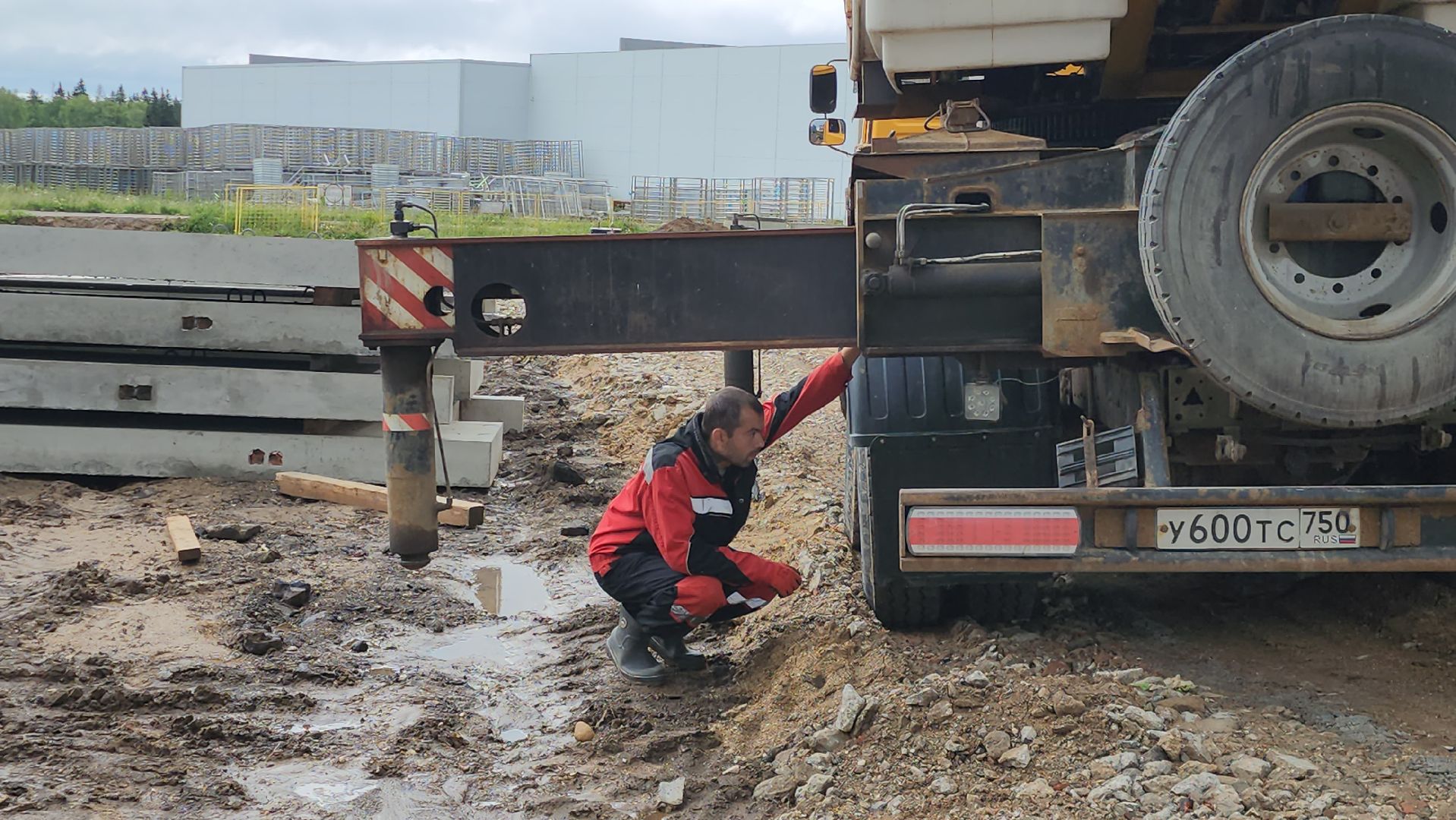 Истра, Эконнмика, Ферма, Сыр, олег сирота,