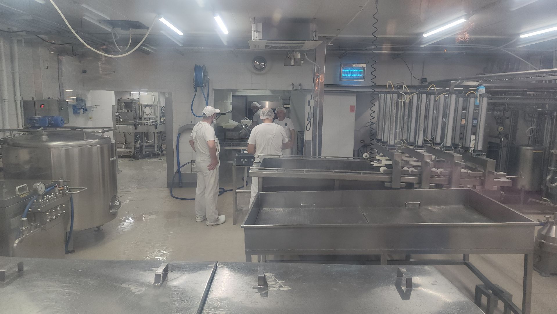 Истра, Эконнмика, Ферма, Сыр, олег сирота,